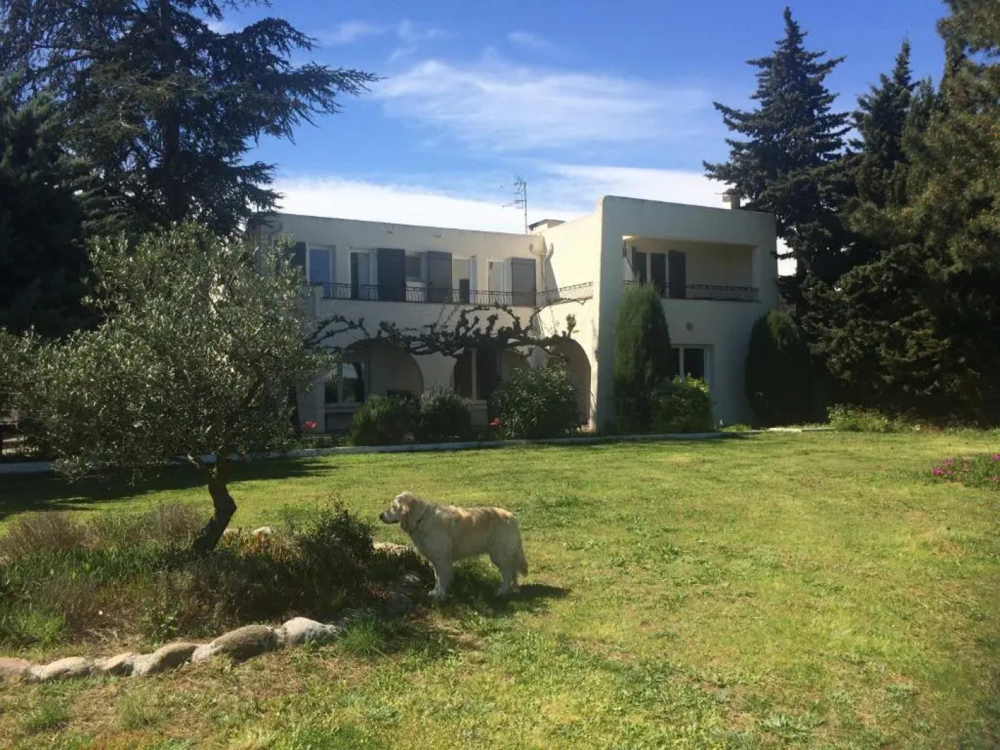 Villa Cote Vermeille