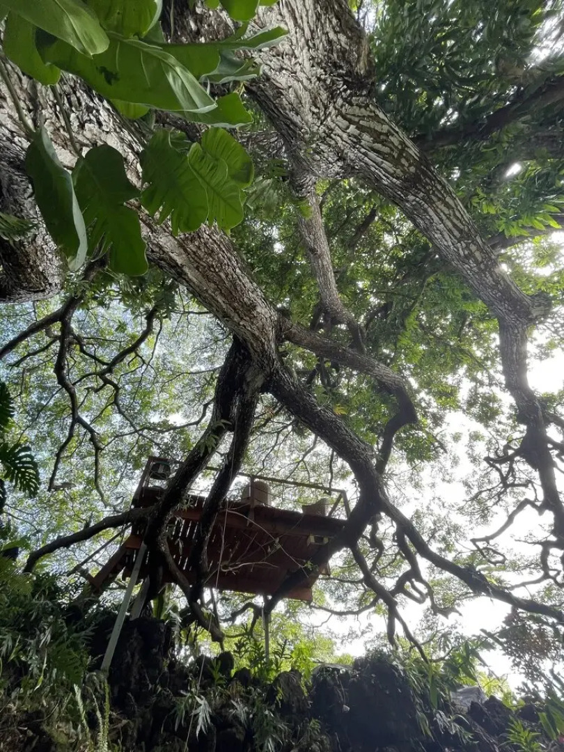 SweetSpotStay-Enchanted Grotto