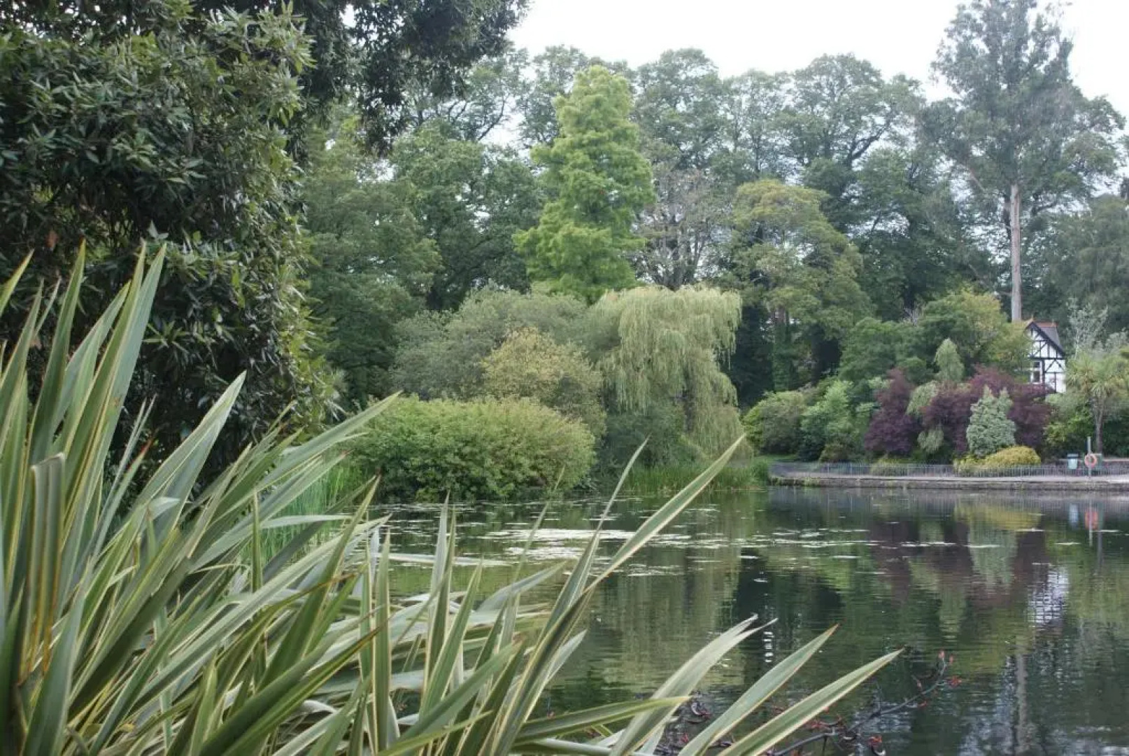 Coastal City Rooms - Uplands