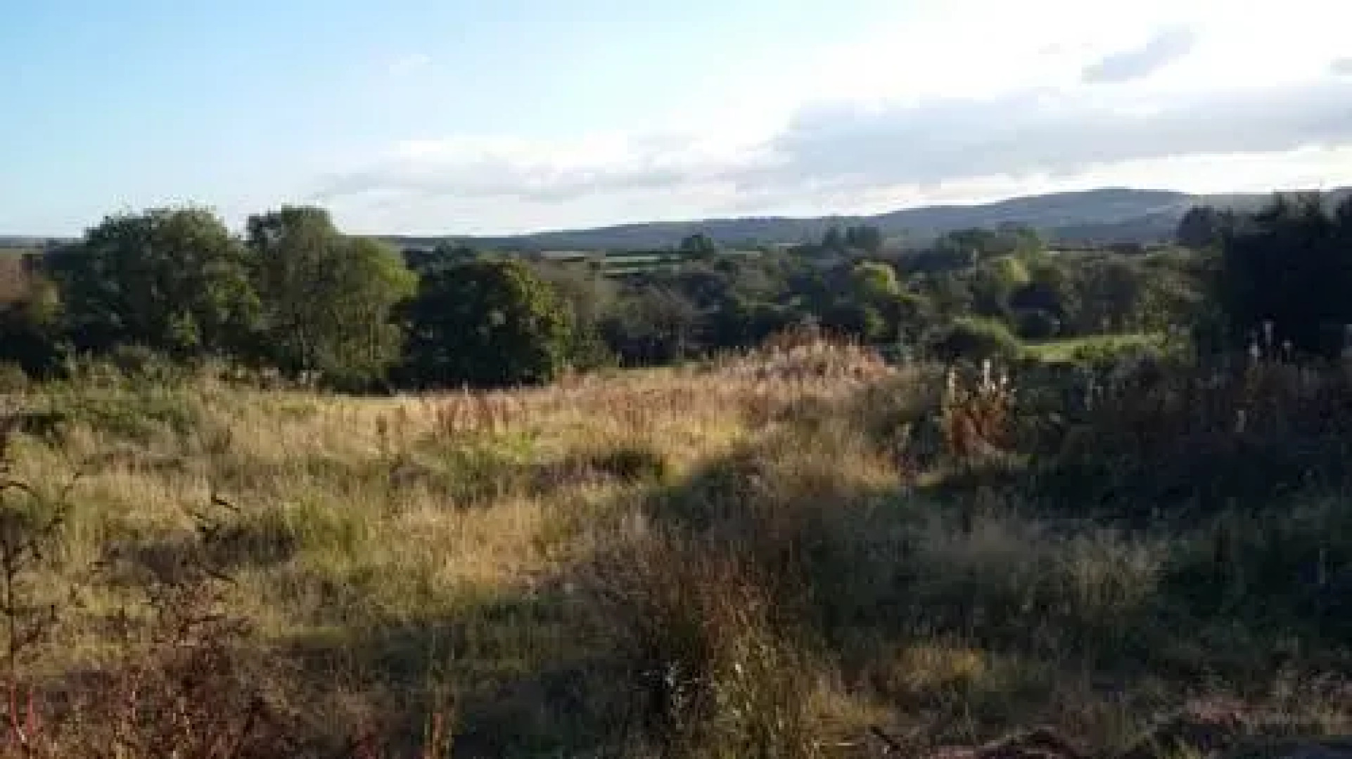 ReallyCoolAccomodation