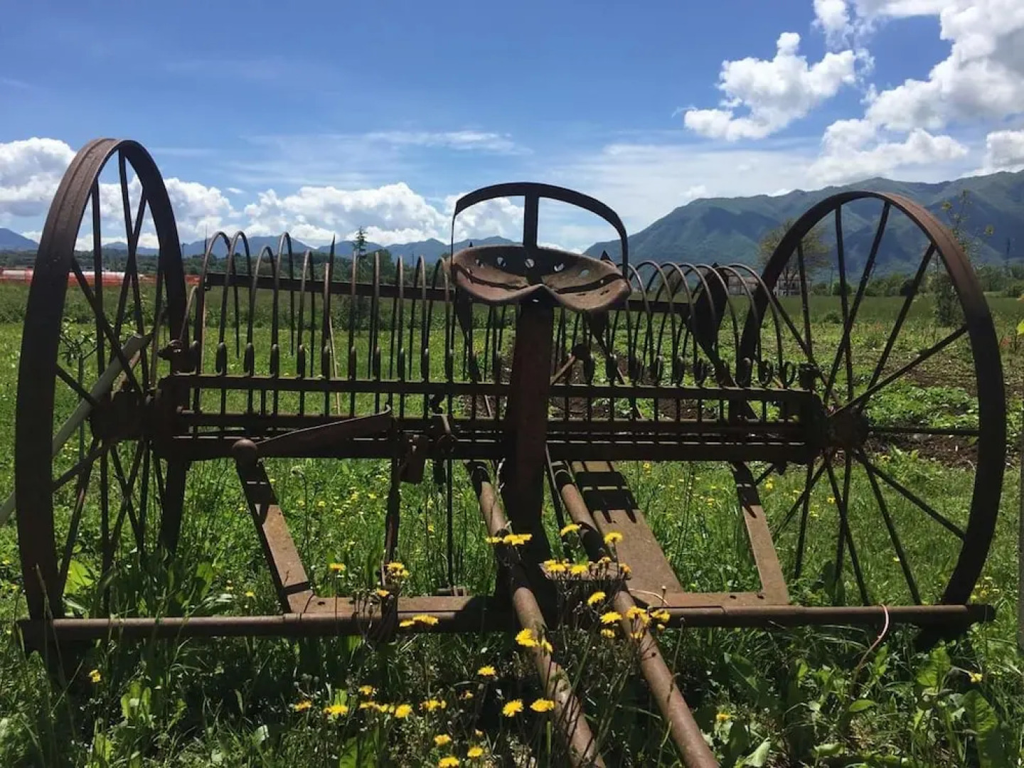 agriturismo campo del monaco