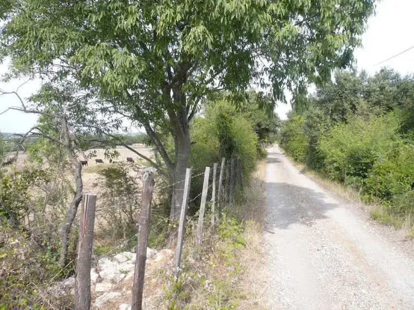 Maison dHôtes La Boca