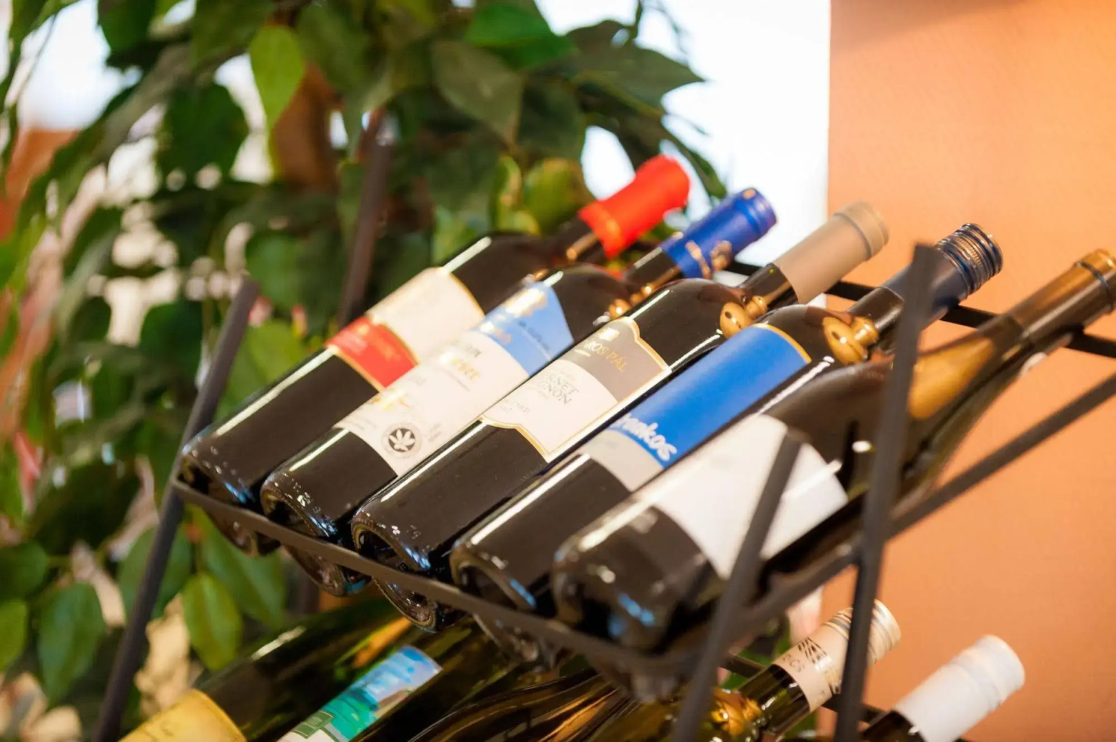 SunGarden Wellness & Conference Hotel