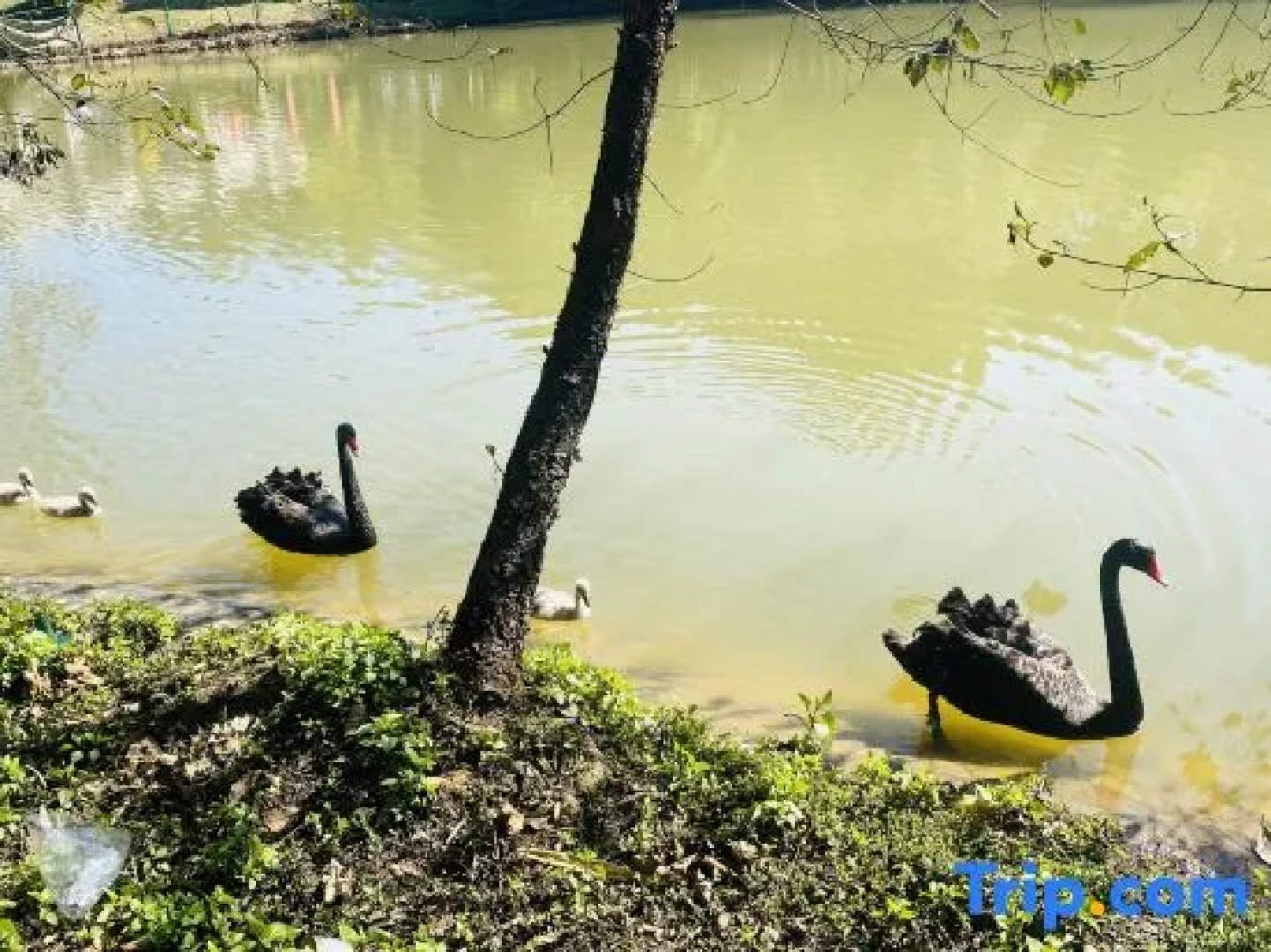 Hetang Yuechun Hotel