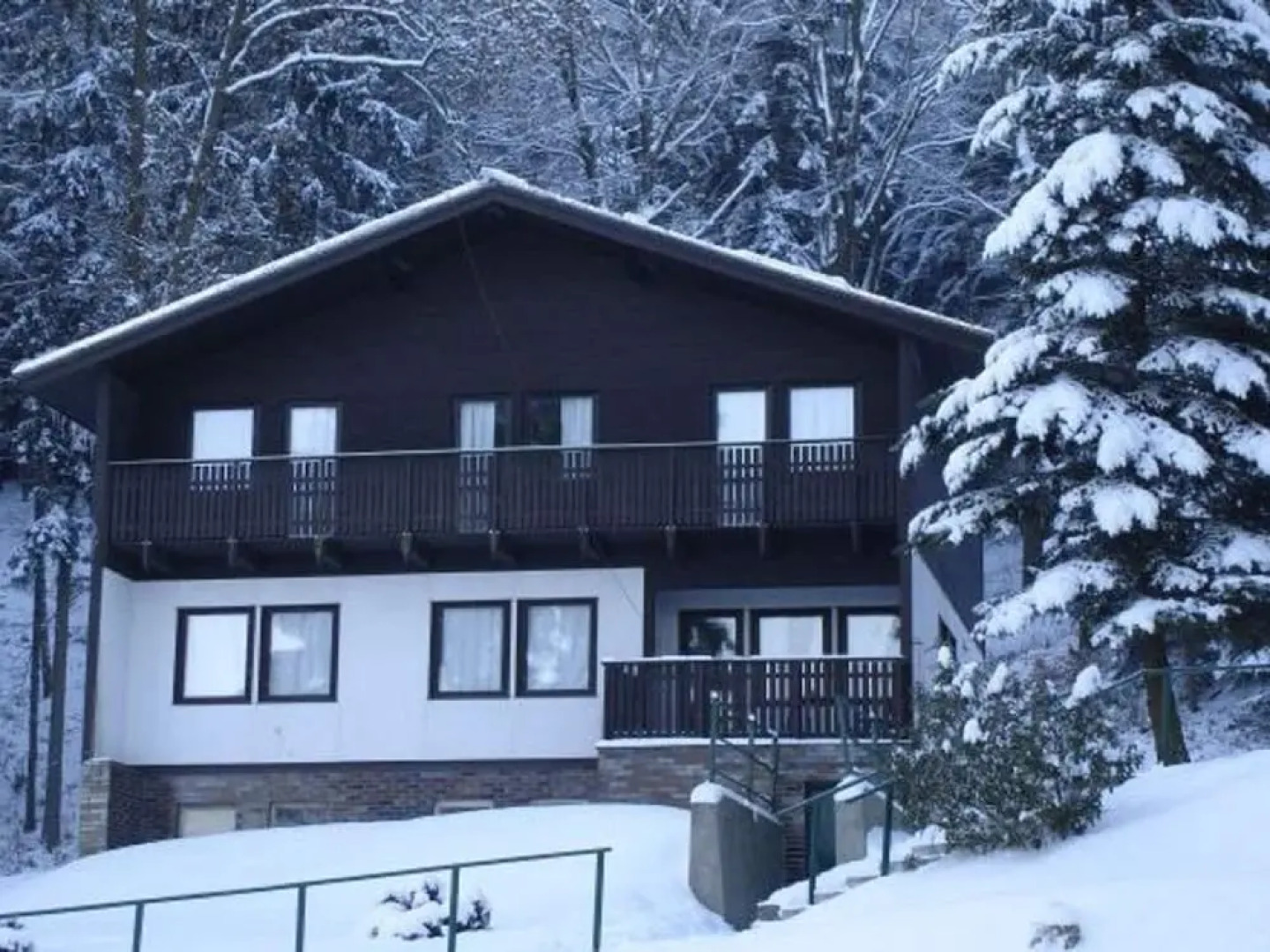 Chalet in Dolni Brusnice Near Ski Lift