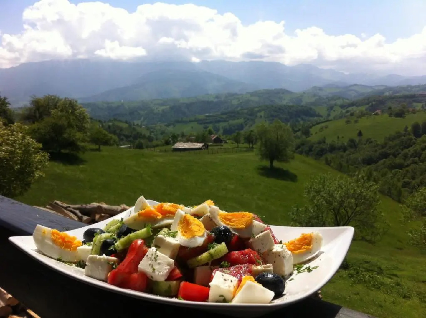 Pensiunea Casa Boiereasca