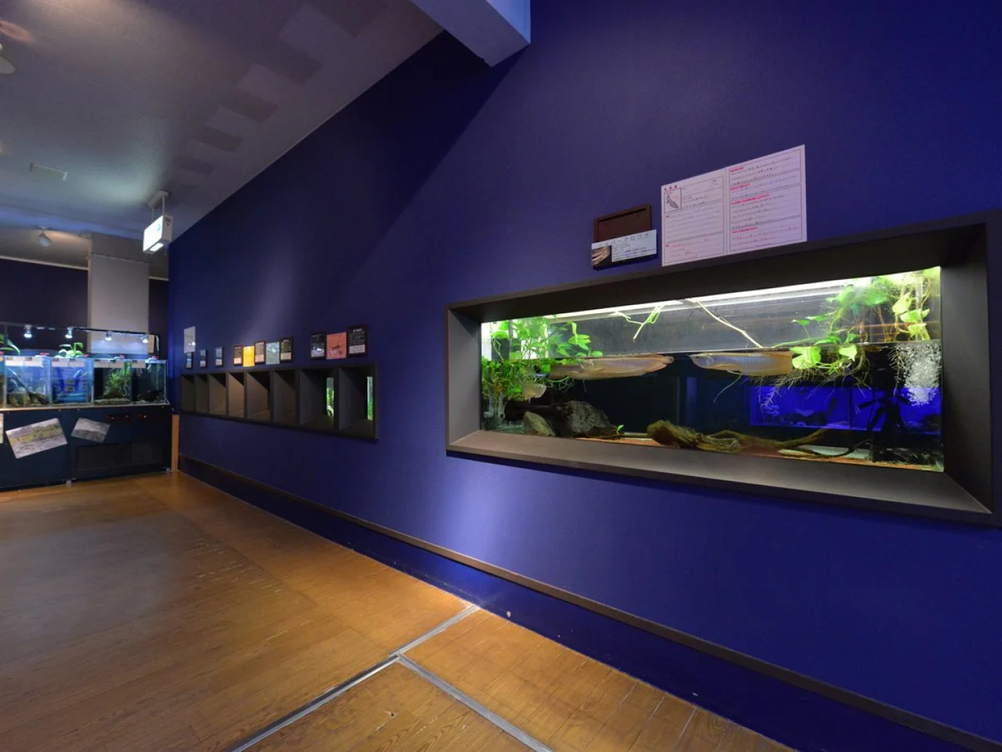 Отель Takeshima