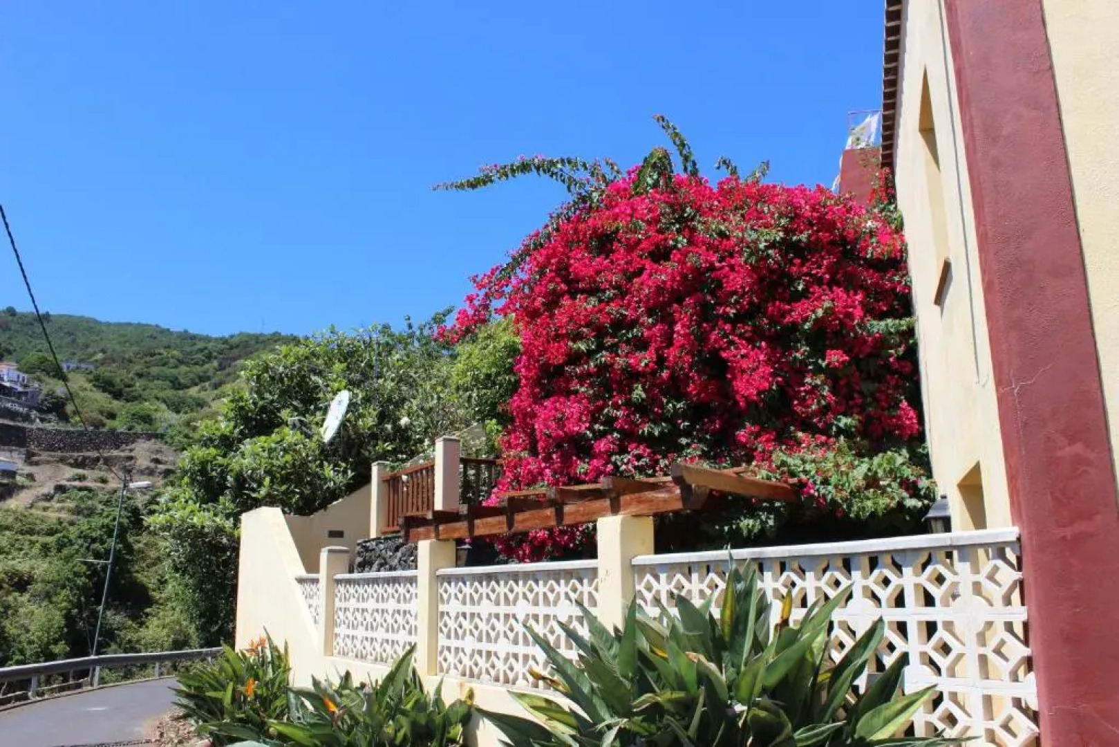 Los Nacientes: Cordero