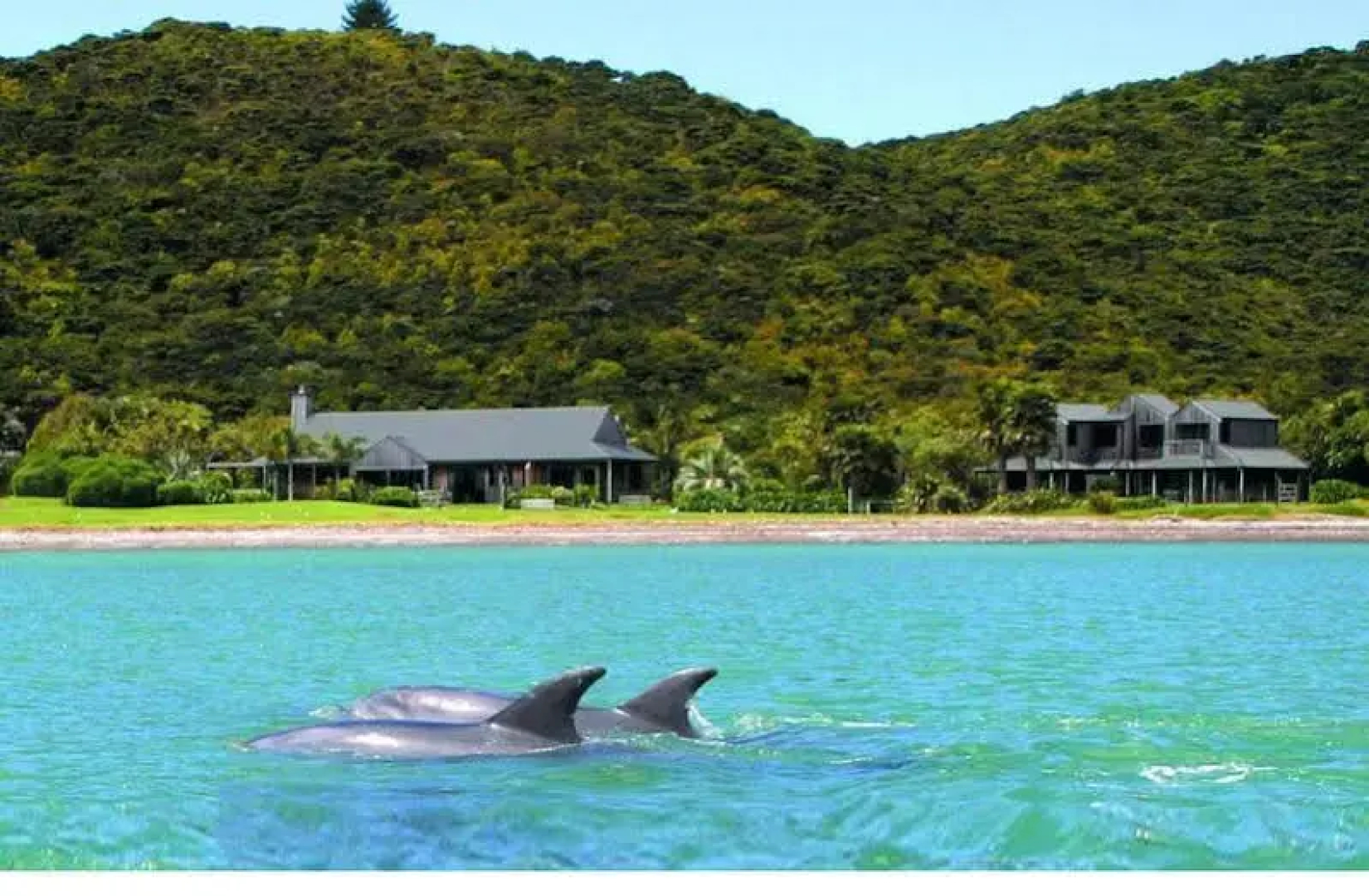 Pawhaoa Bay Lodge