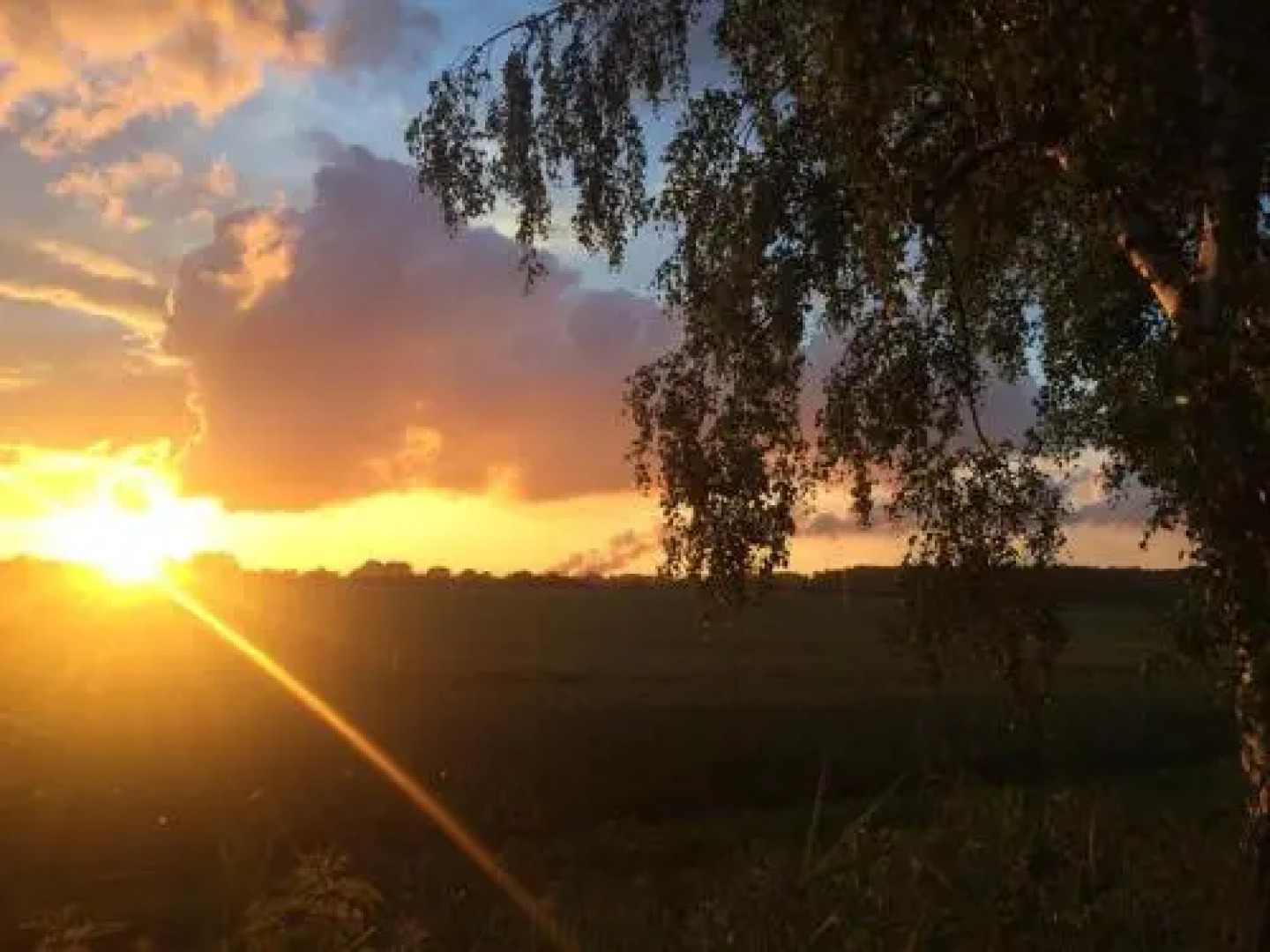 Les Bois du Bardelet