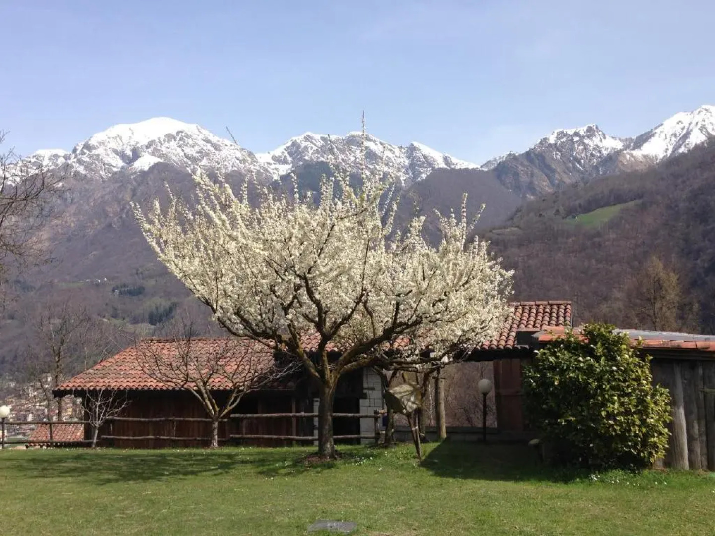 Bed and breakfast Il Mirtillo