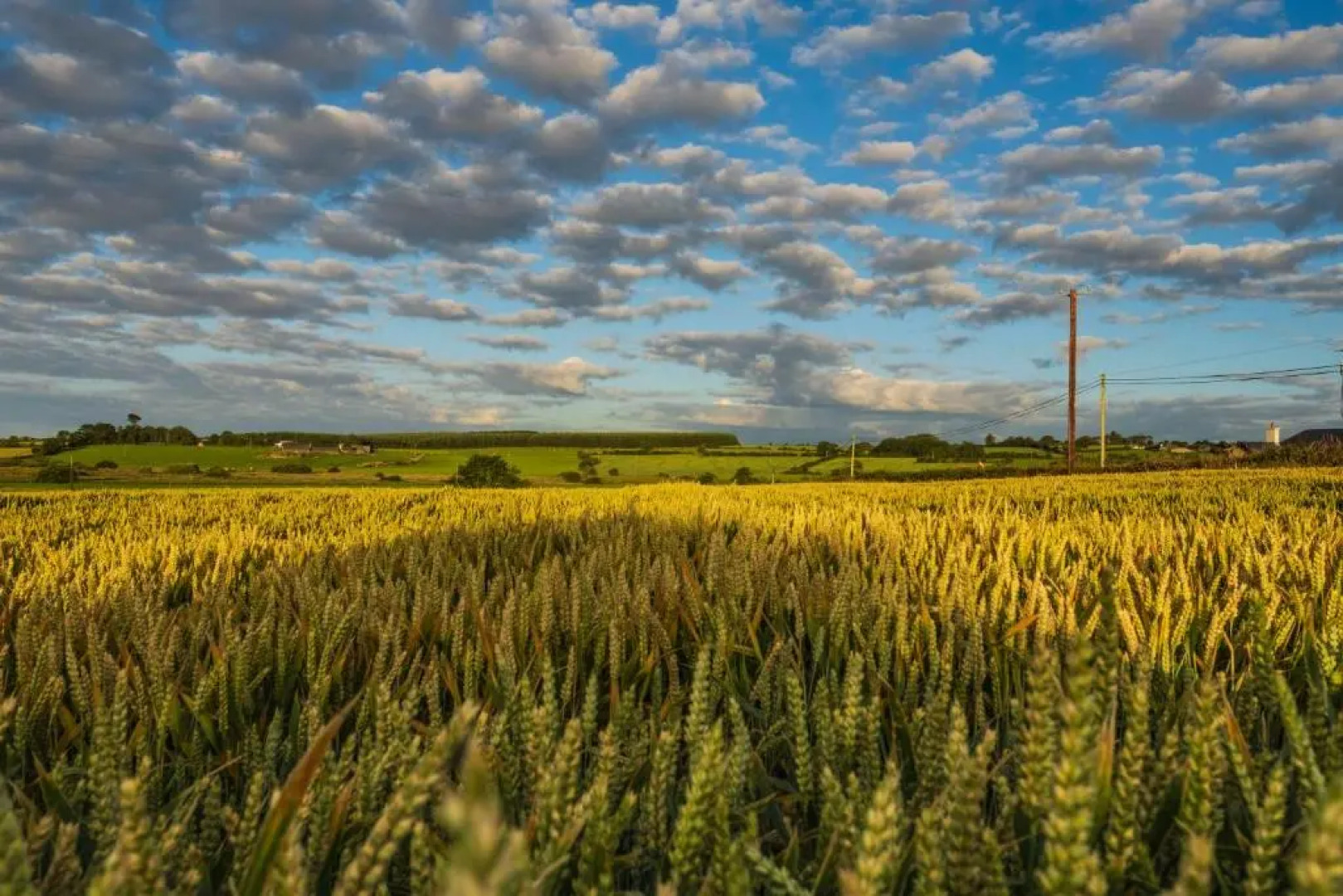 The Knock Guest house