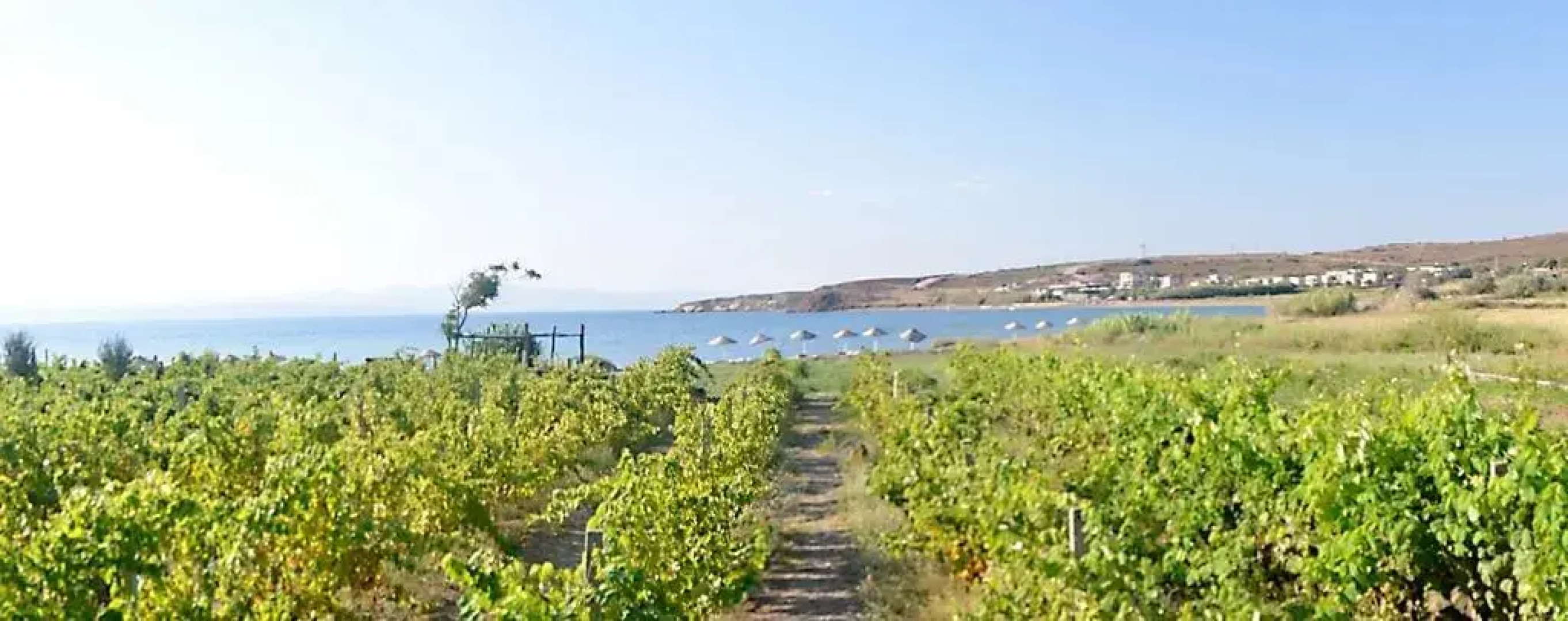 Saklıbahçe Hotel