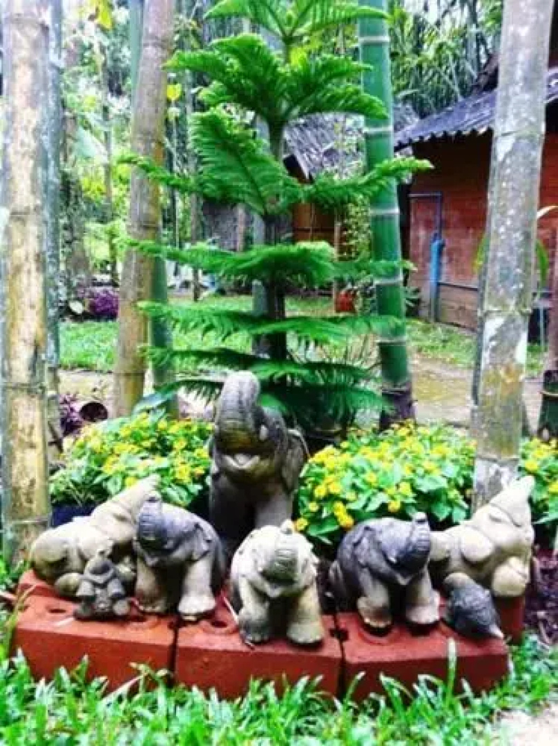 Chang Pai by John Bamboo Hut