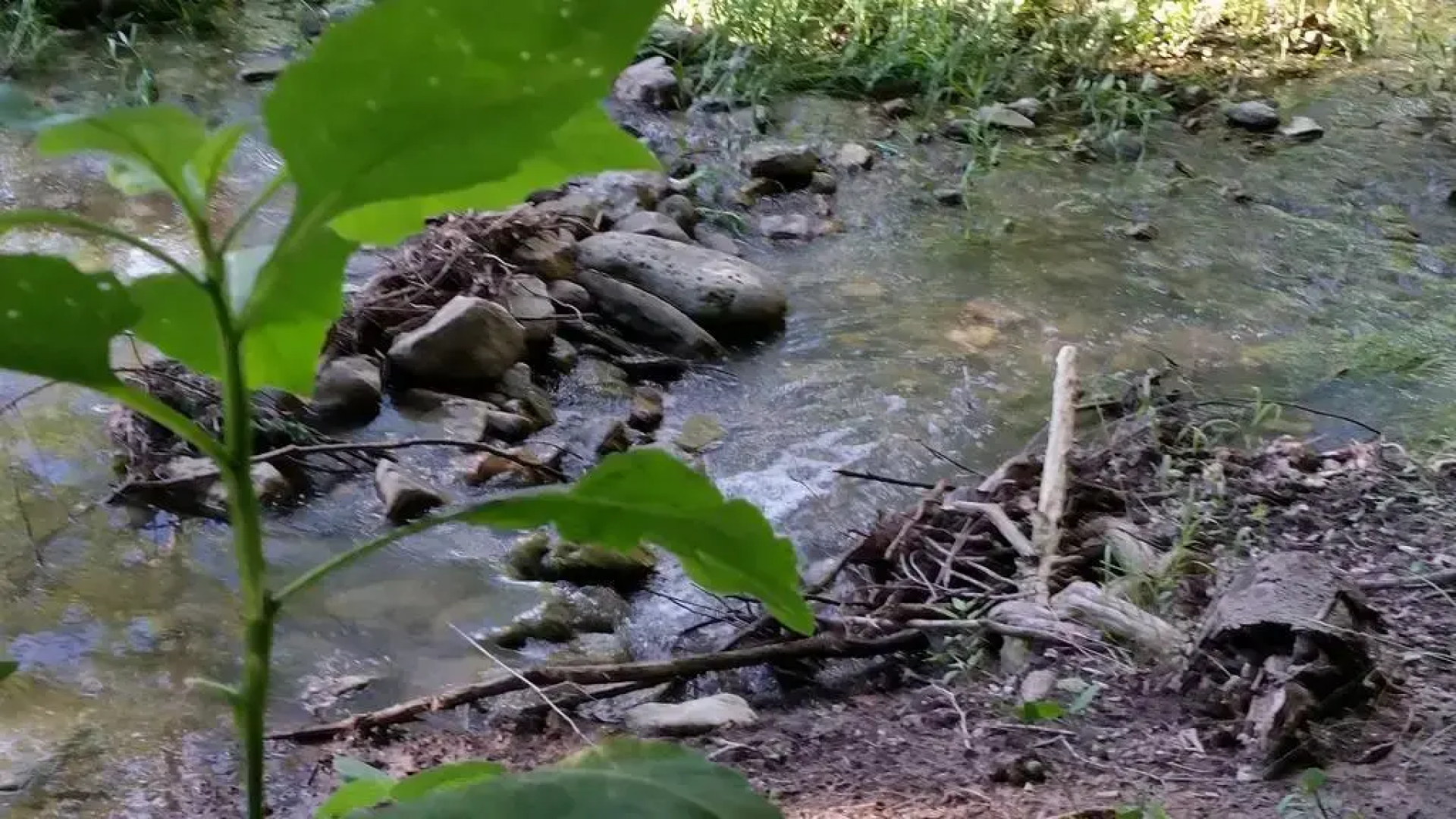 Mendelbaum Winery Loft West