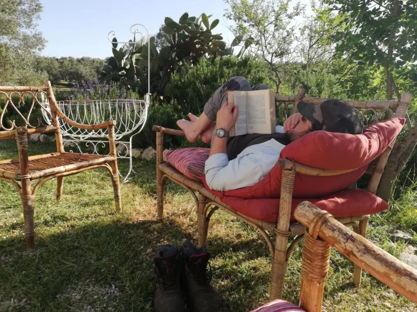 B&B Giovannarolla Green House