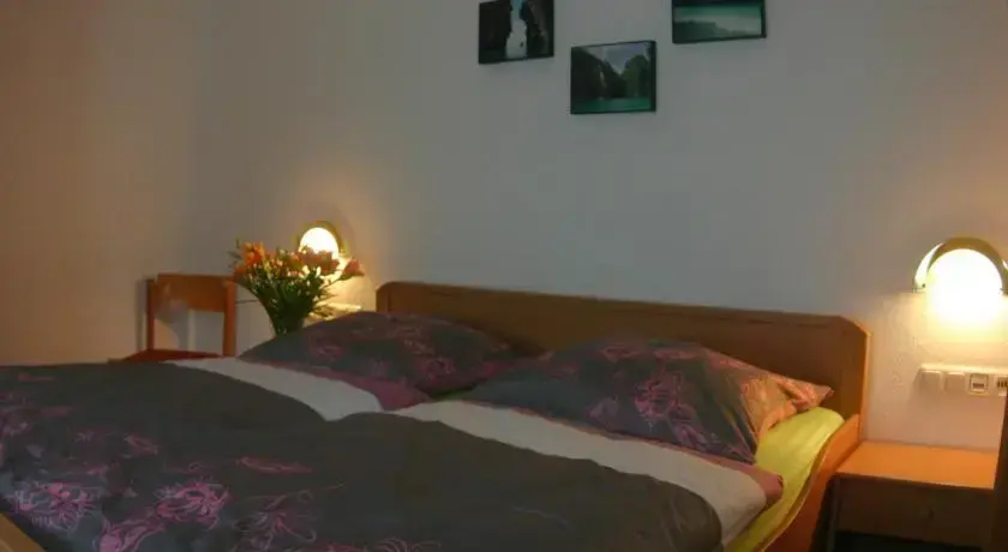 Hotel Zum grünen Baum