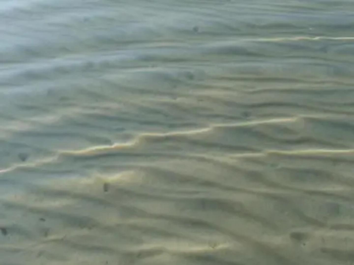 Apartments Mas-Rafaj