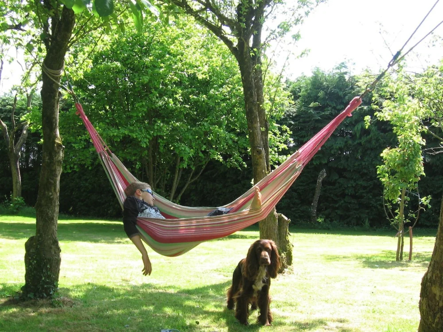 Au Domaine des Camelias