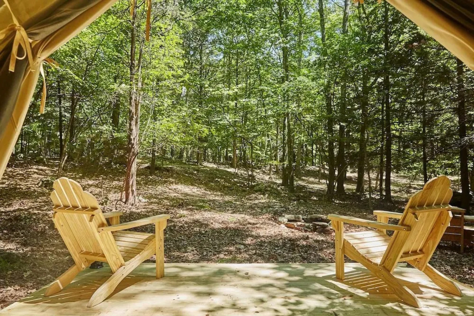 Tentrr - Little Bear