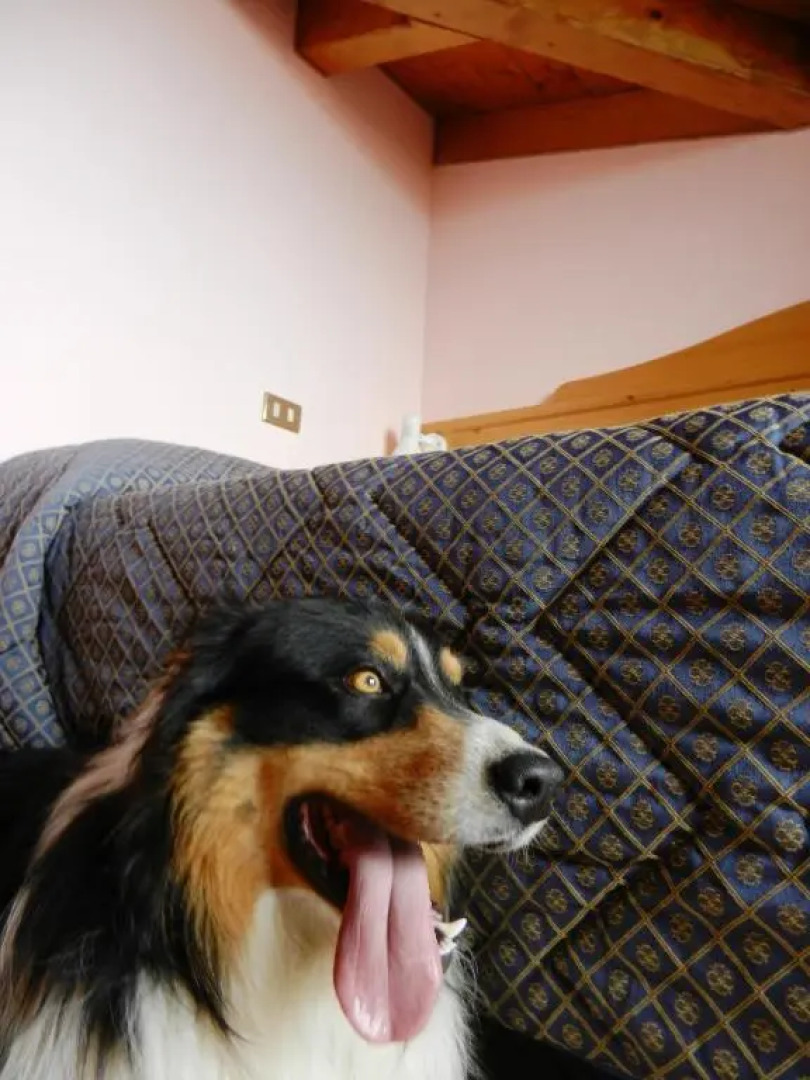 Hotel Albergo Al Milano