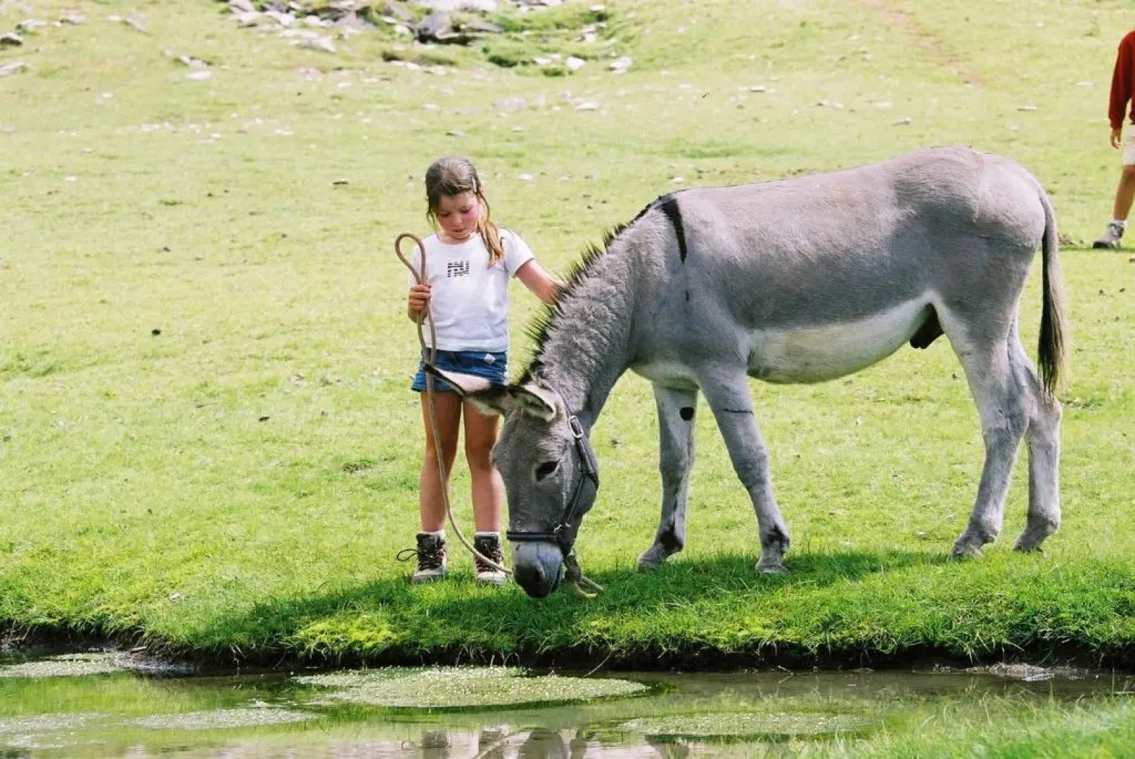 Eco-hôtel et Yourtes du Mercantour