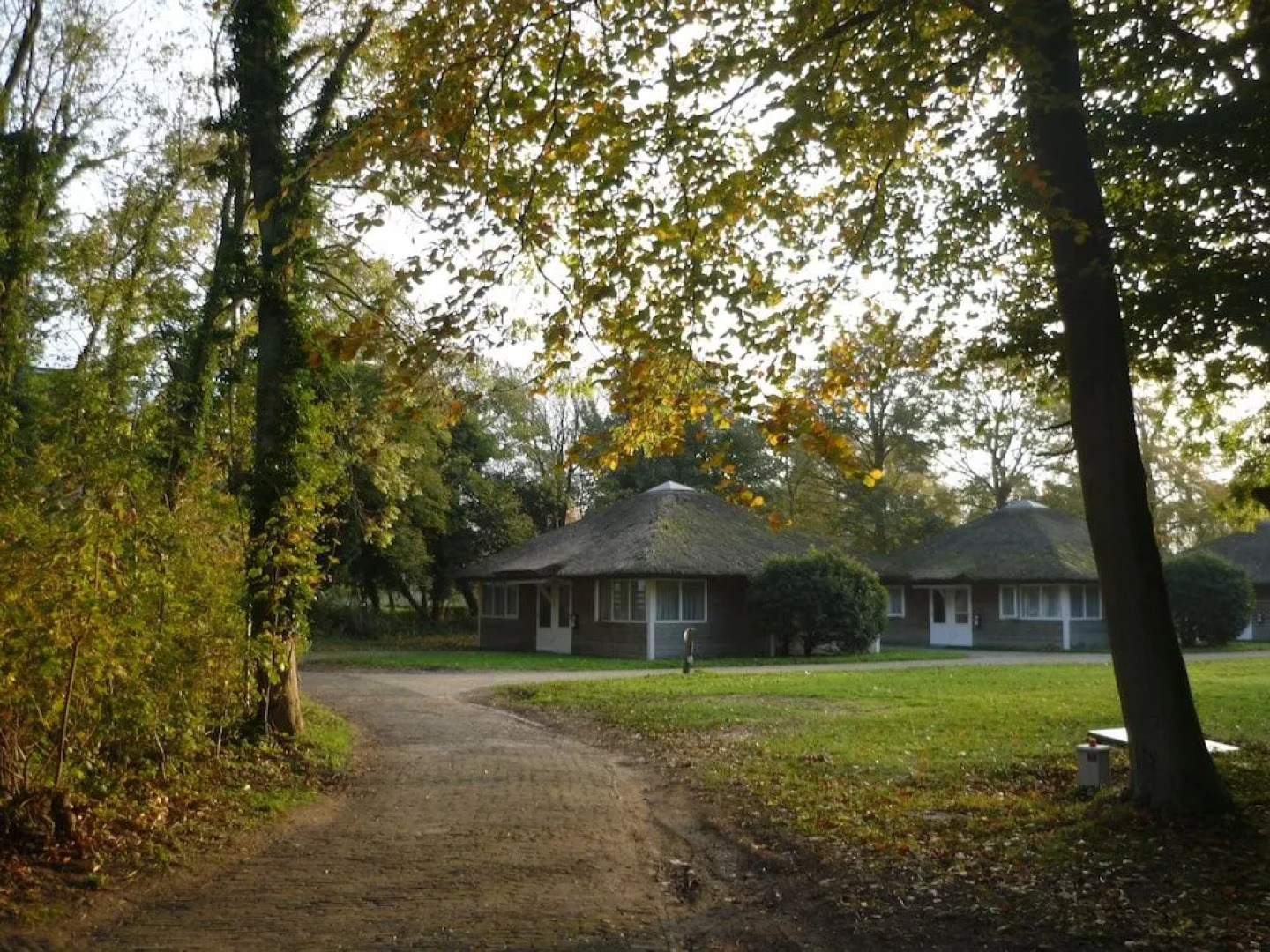 Green White Hotel Restaurant