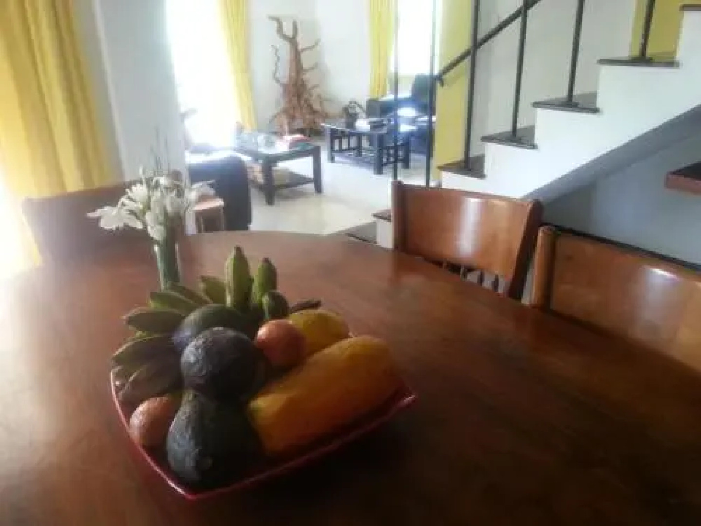 The Paddyfield Hideaway