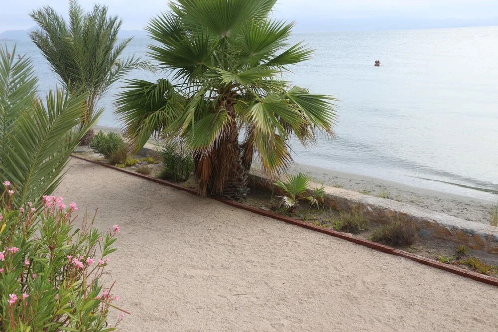 Inmovecos Las Palmeras T45