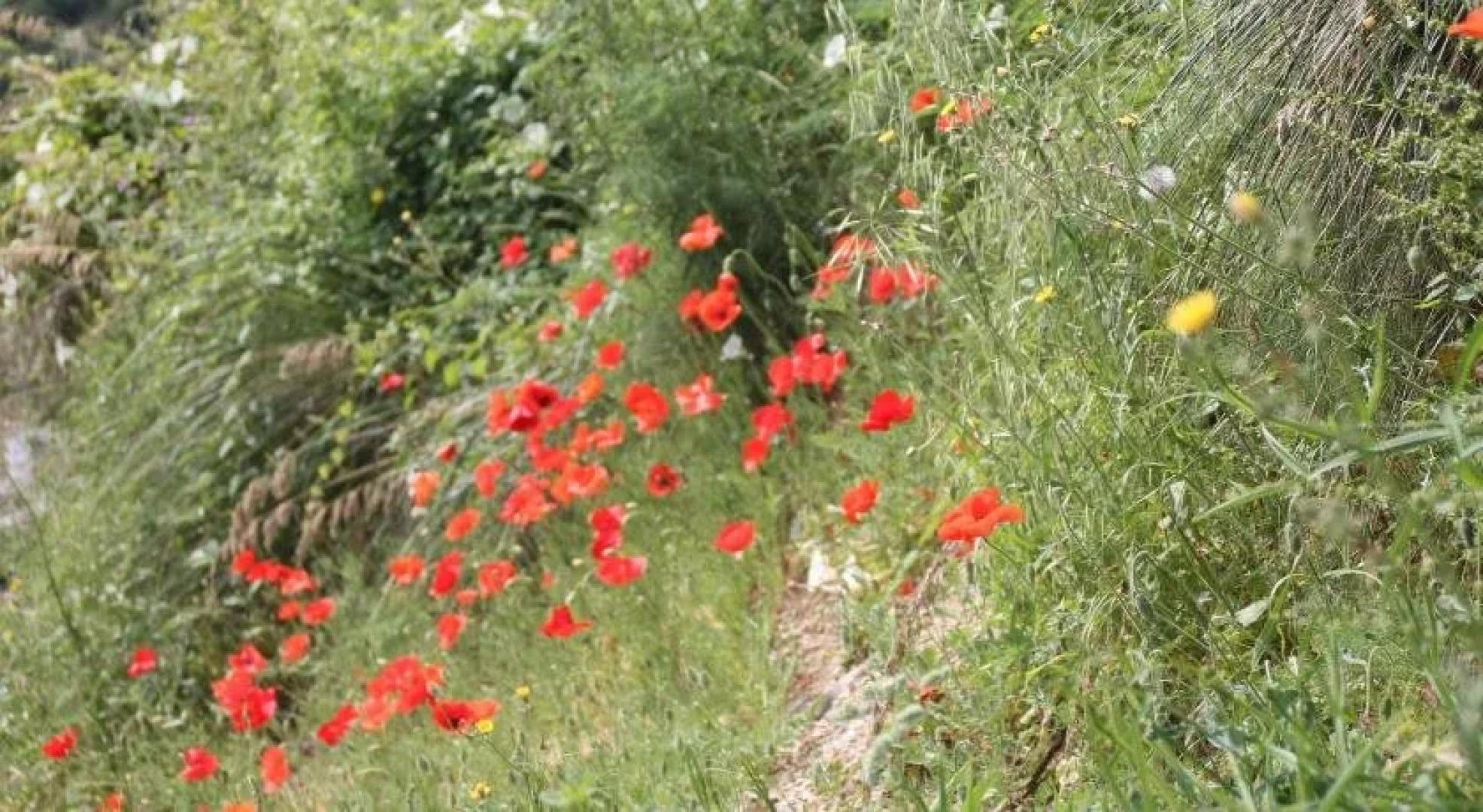 B&B Miralonga Valle Lao