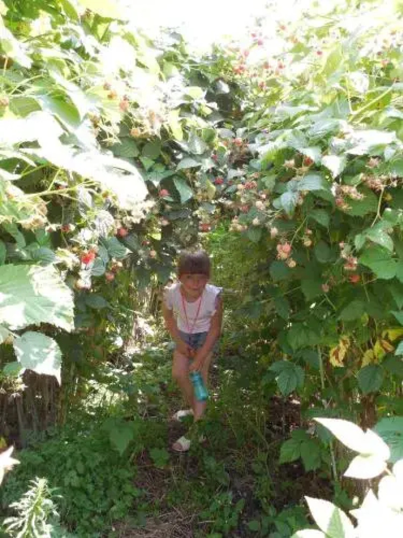 Complex Pastravaria Albota