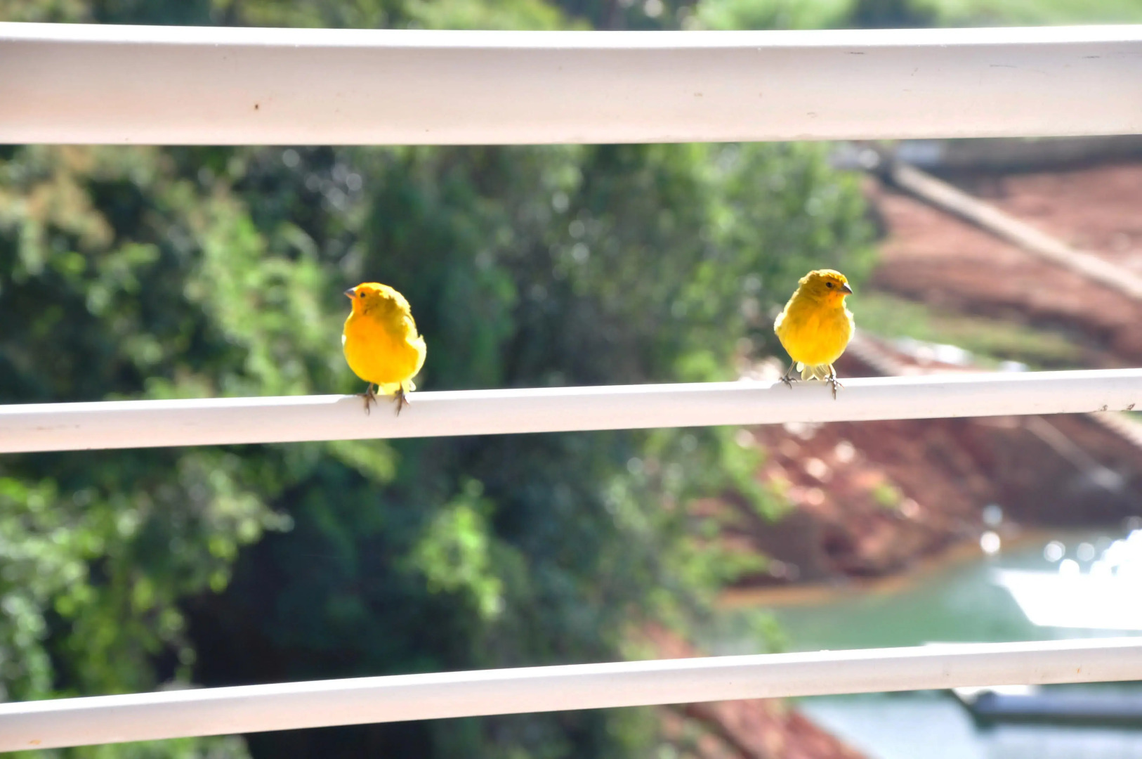 Hotel Escarpas Do Lago By San Diego