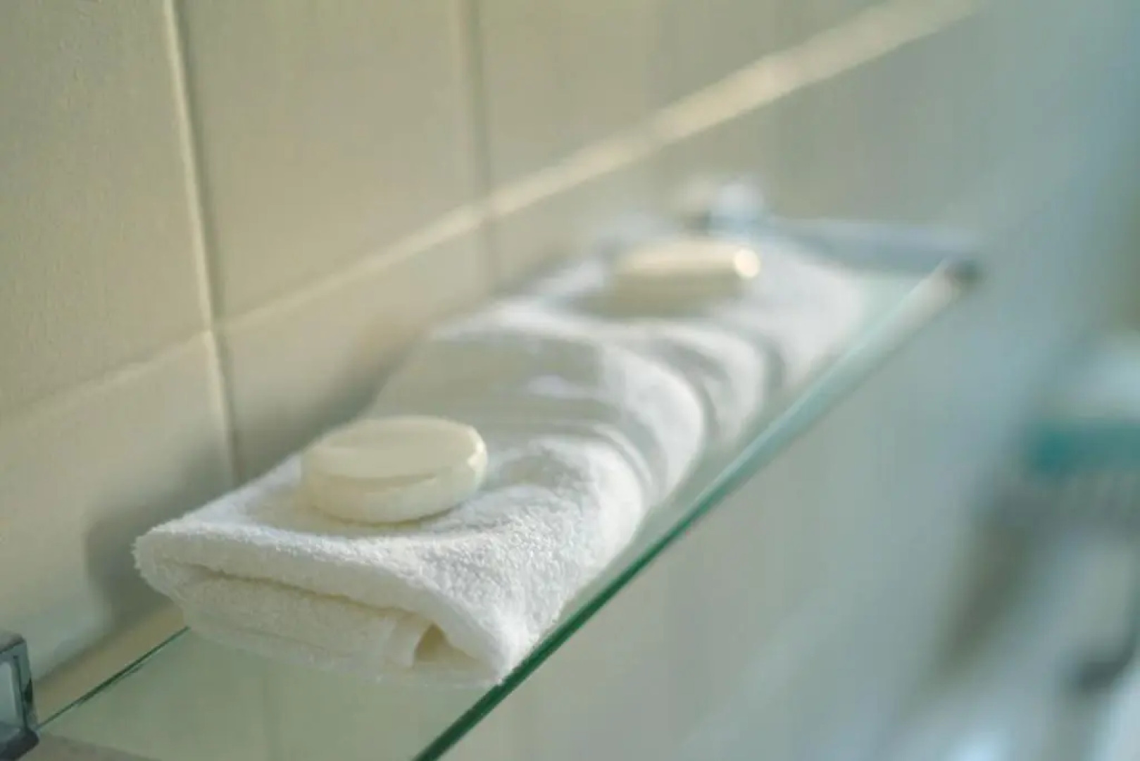 The Seagull Hermanus