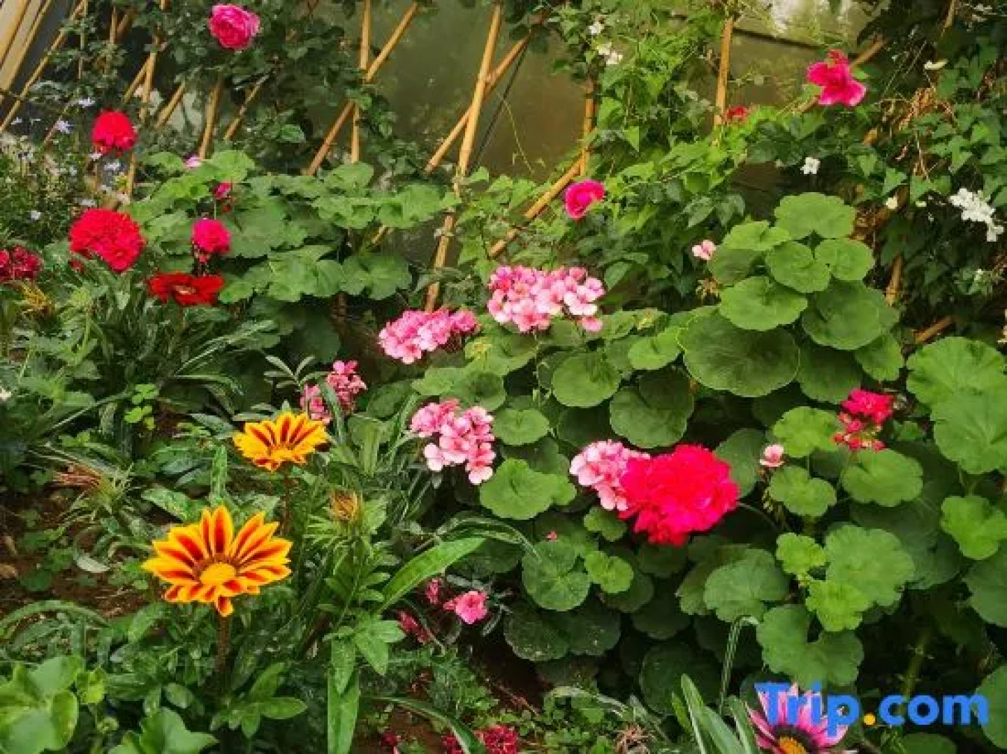 258 Bund Theme Hotel