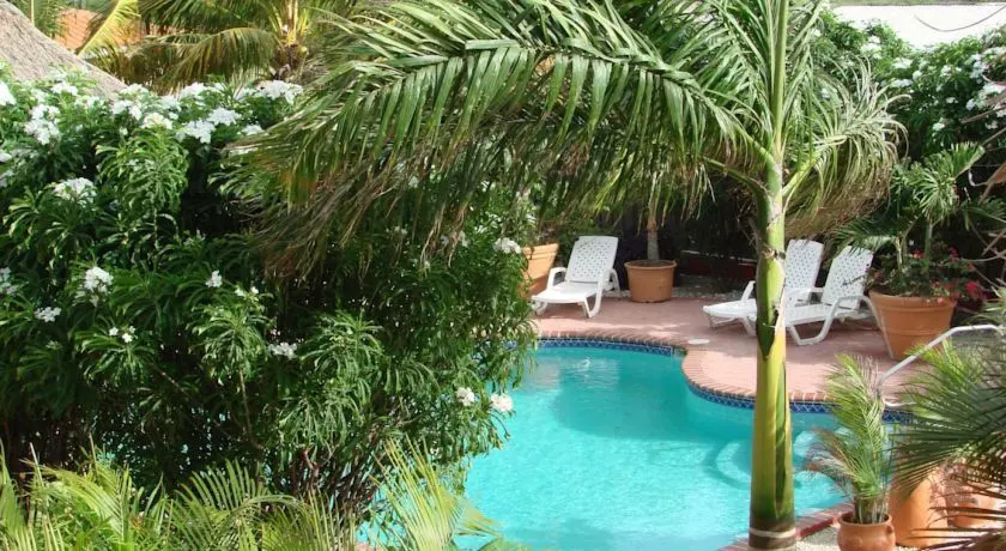 Cunucu Villas Aruba Tropical Garden Apartments