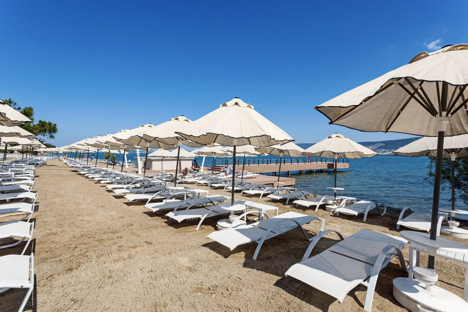 Long Beach Club Nature