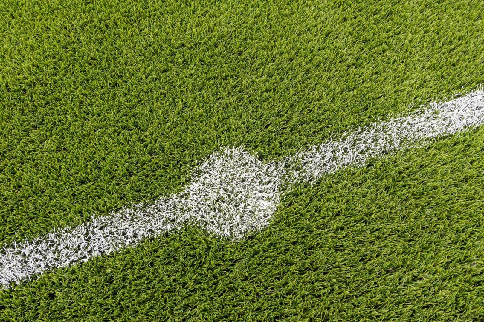 Лесная Сказка