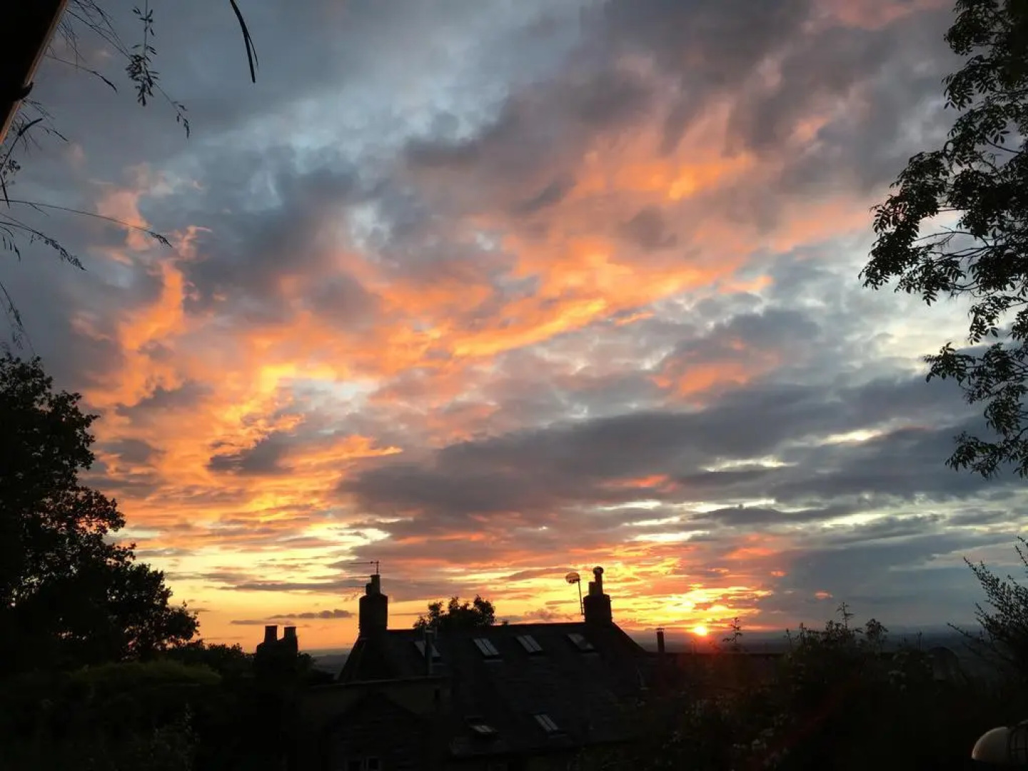 Pathways, Beachwood Cottage