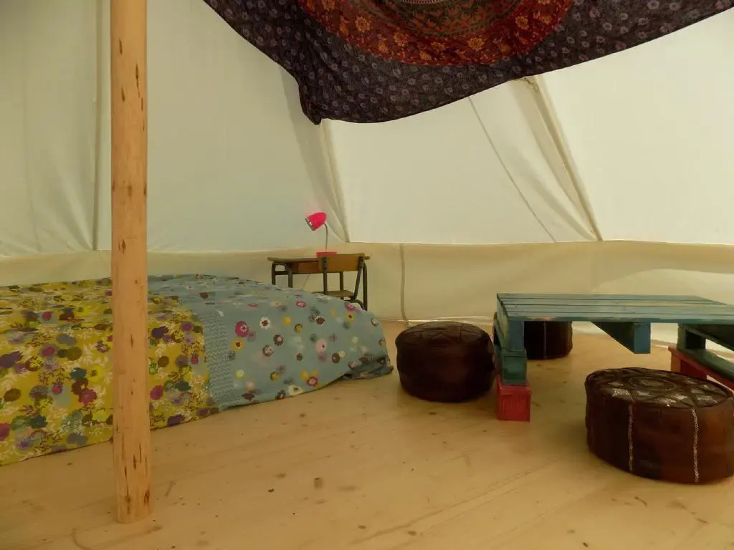 La chouette étoilée