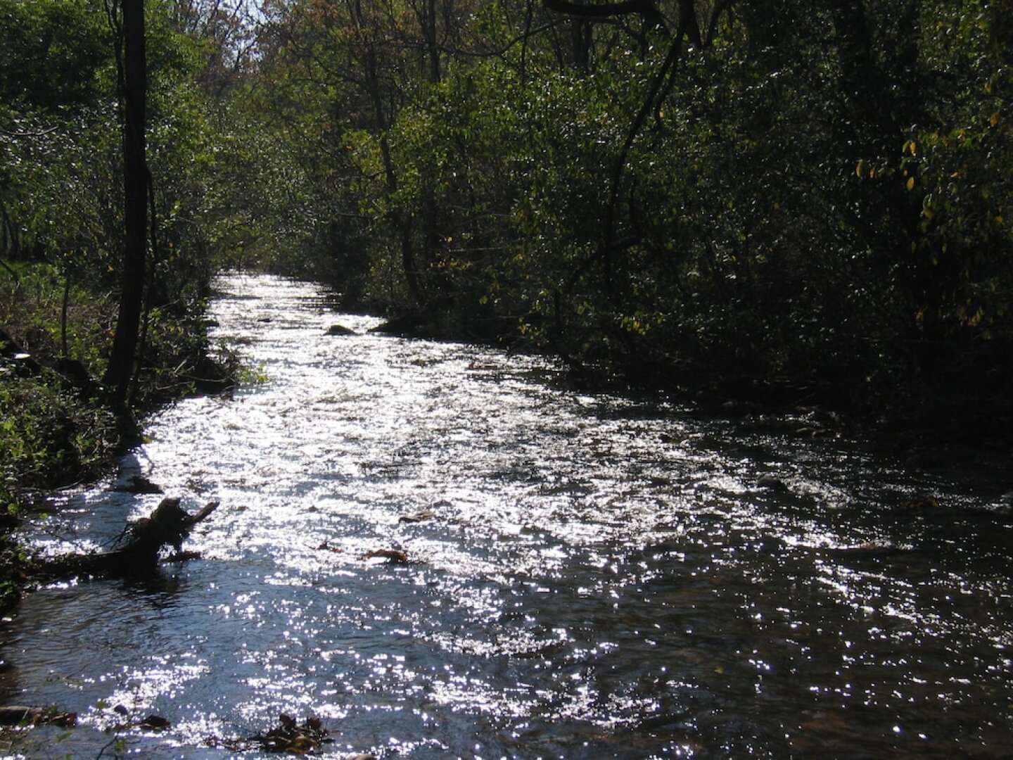 The Mountain Rose Inn