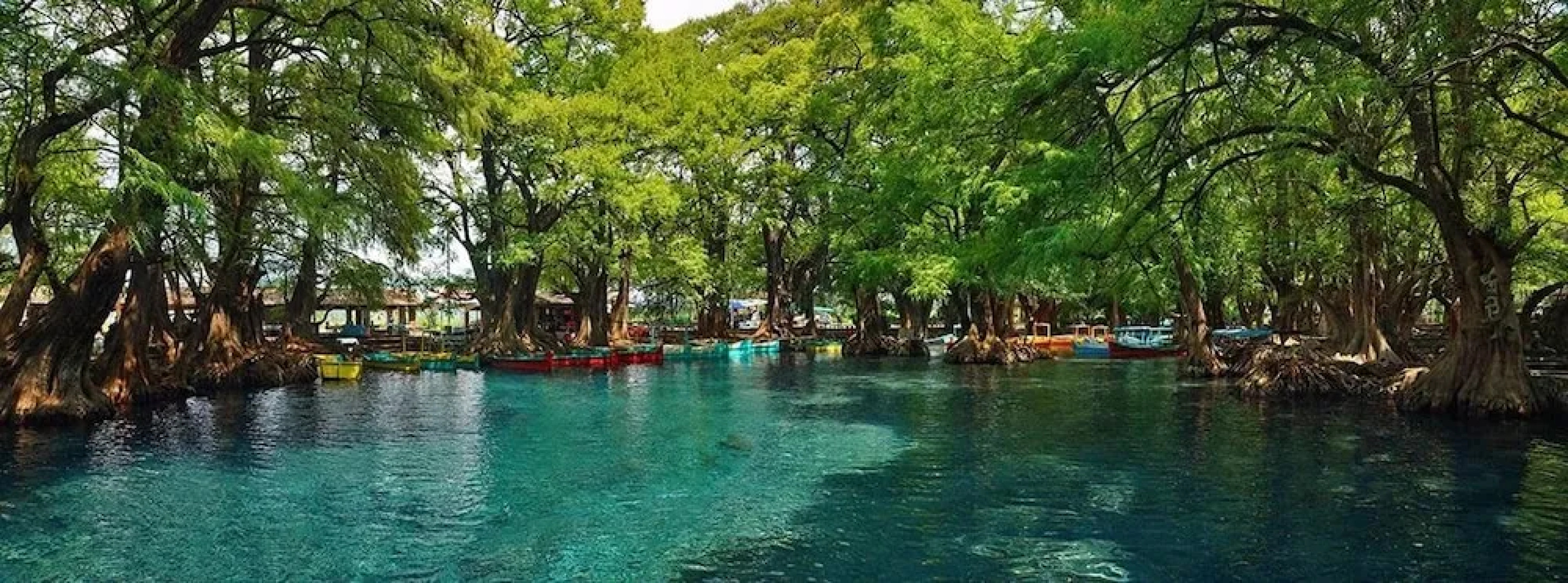 Anaya & Rodriguez Shop - Hostel