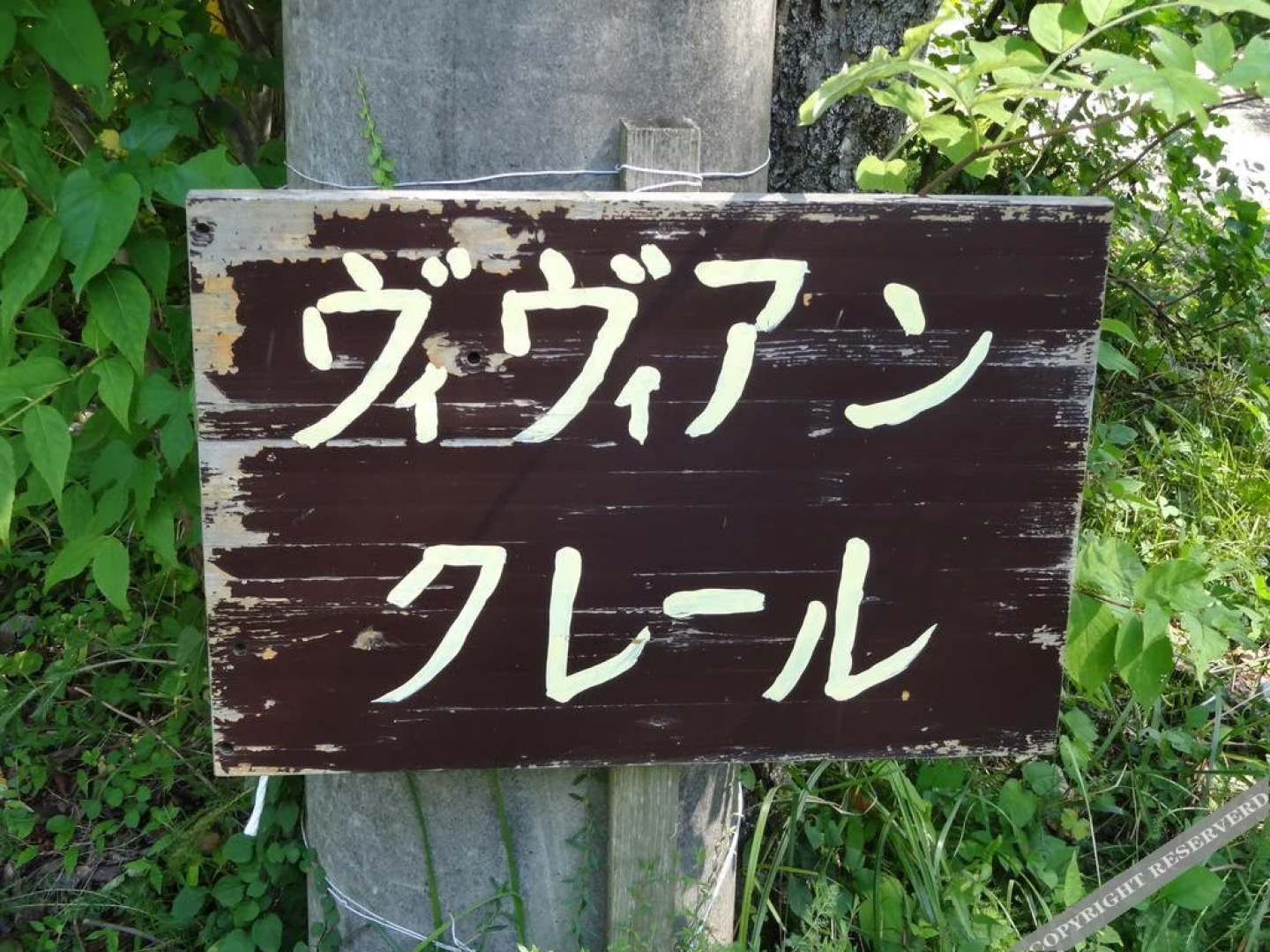 Pension Vivien Claire