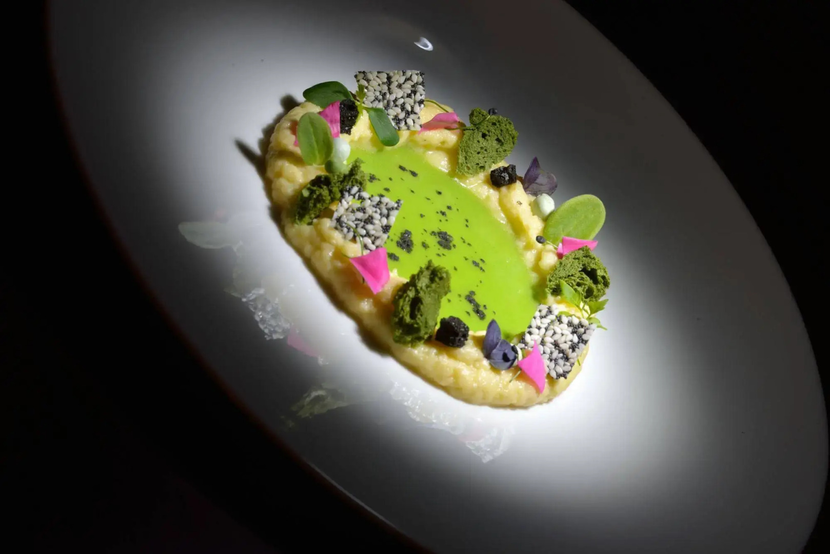 Villa Lario Resort Mandello