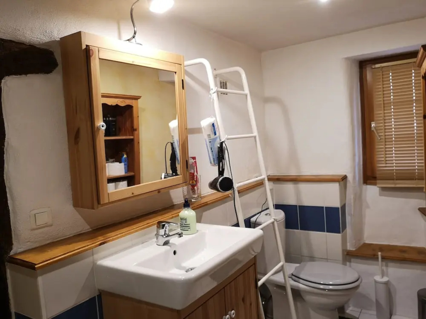 Magnifique Loft Alsacien - Sauna