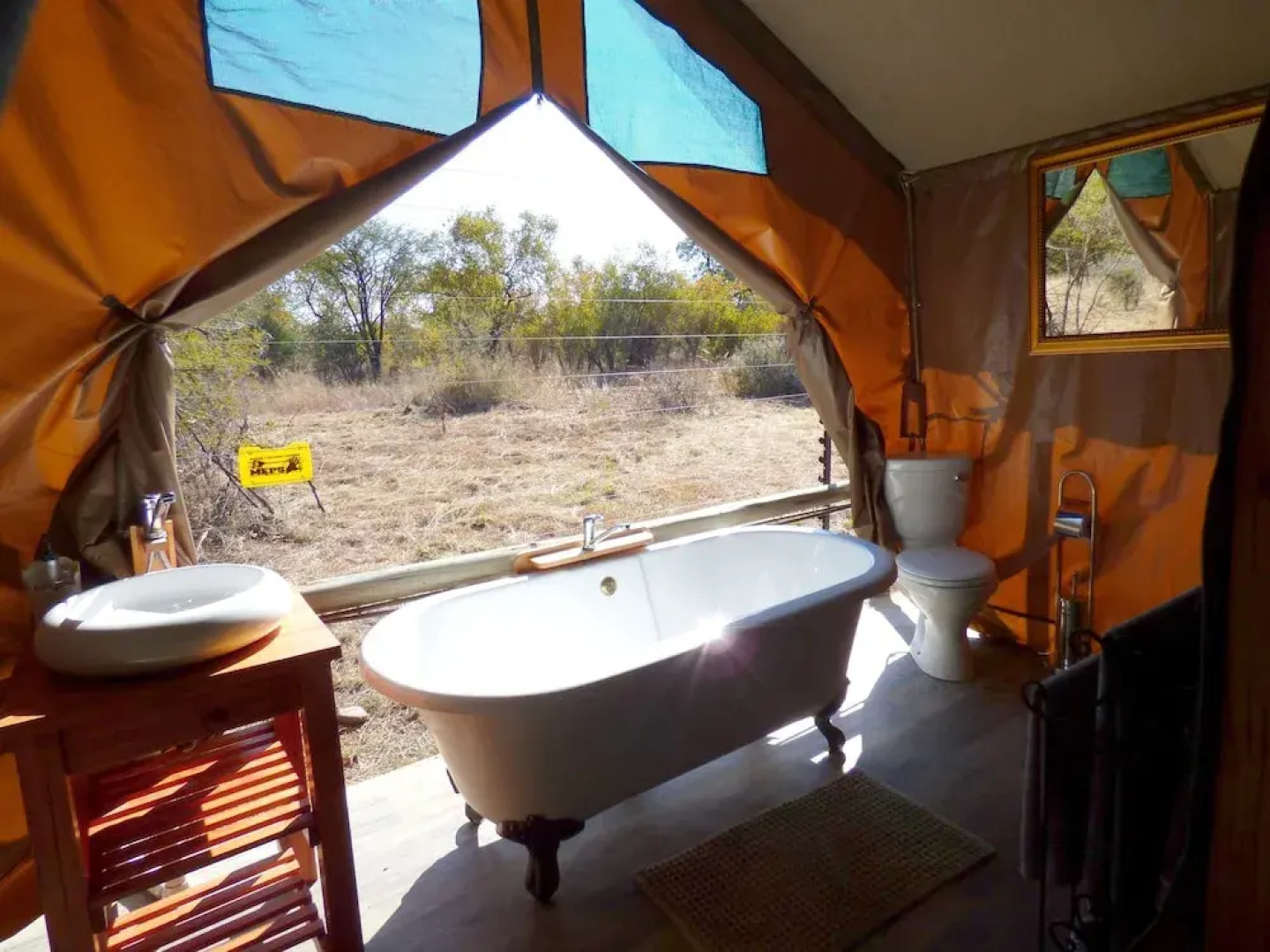 Thorn Tree Bush Camp