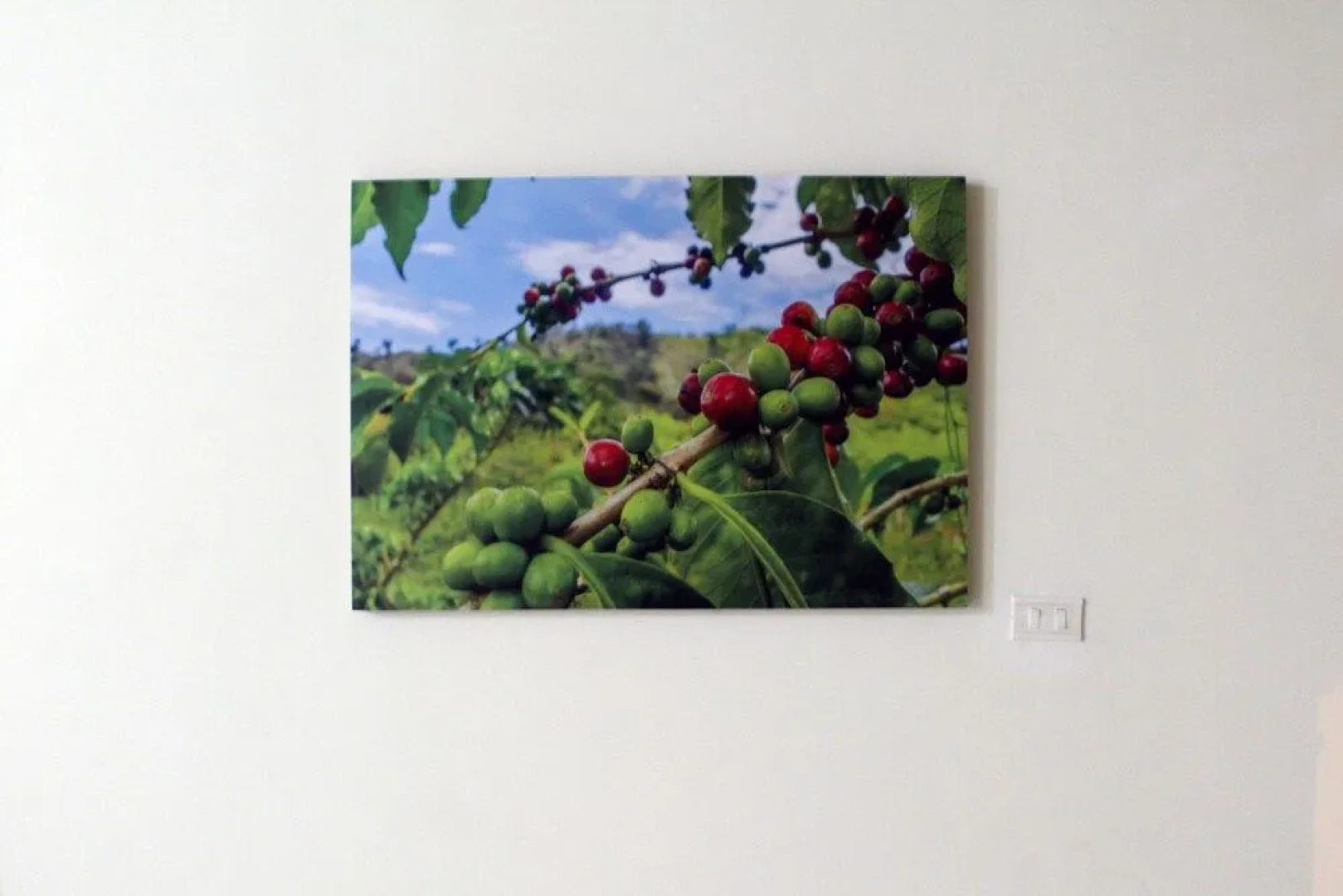 Zona C Apartment by Parceros Group