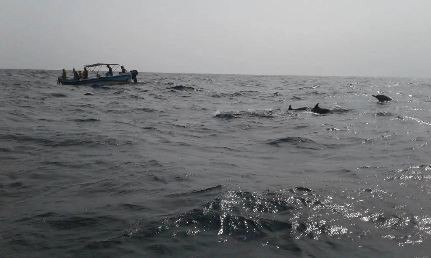 Kalpitiya Guest House