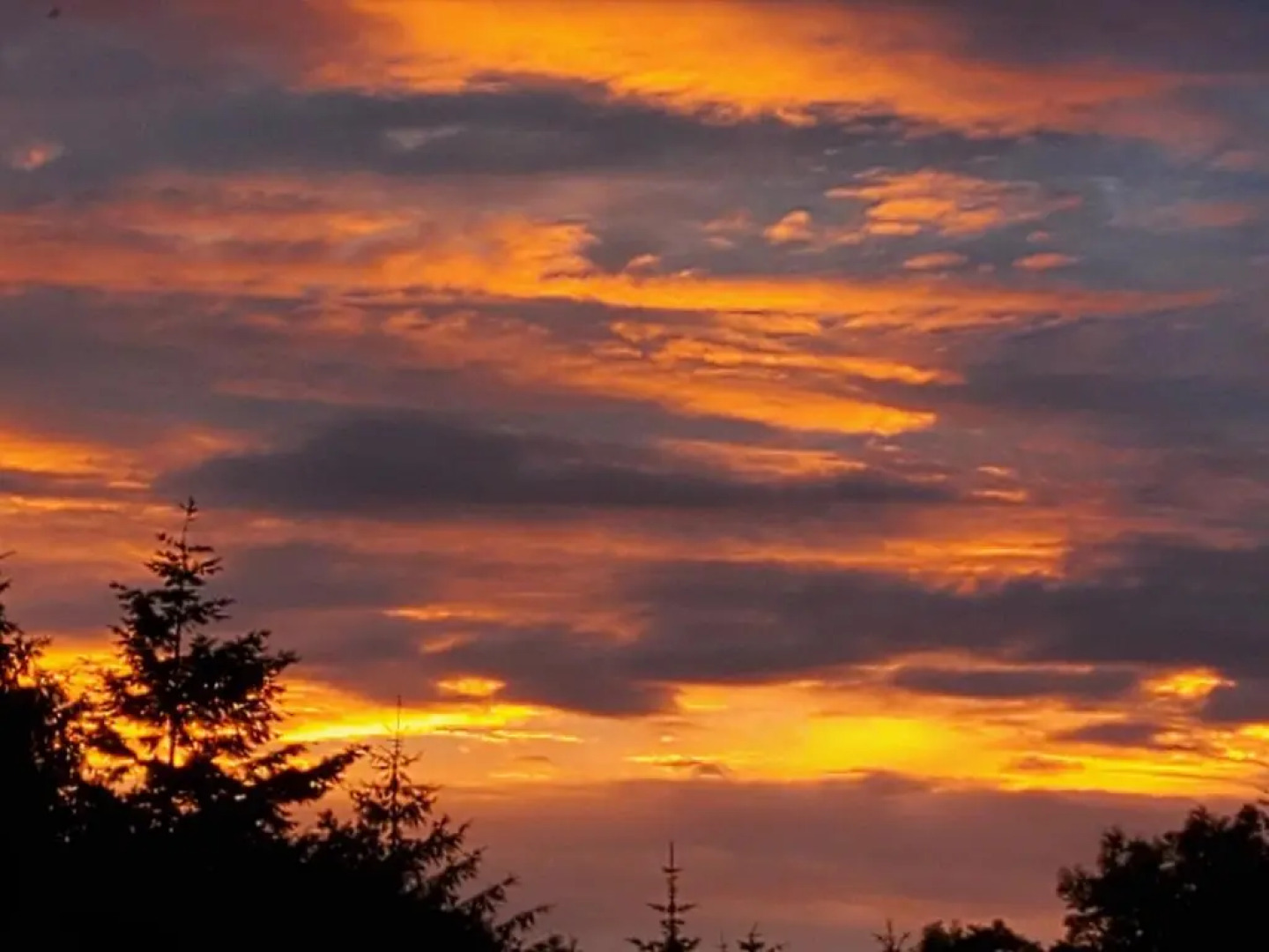 Cosy Cottage in the Blackdown Hills, Devon