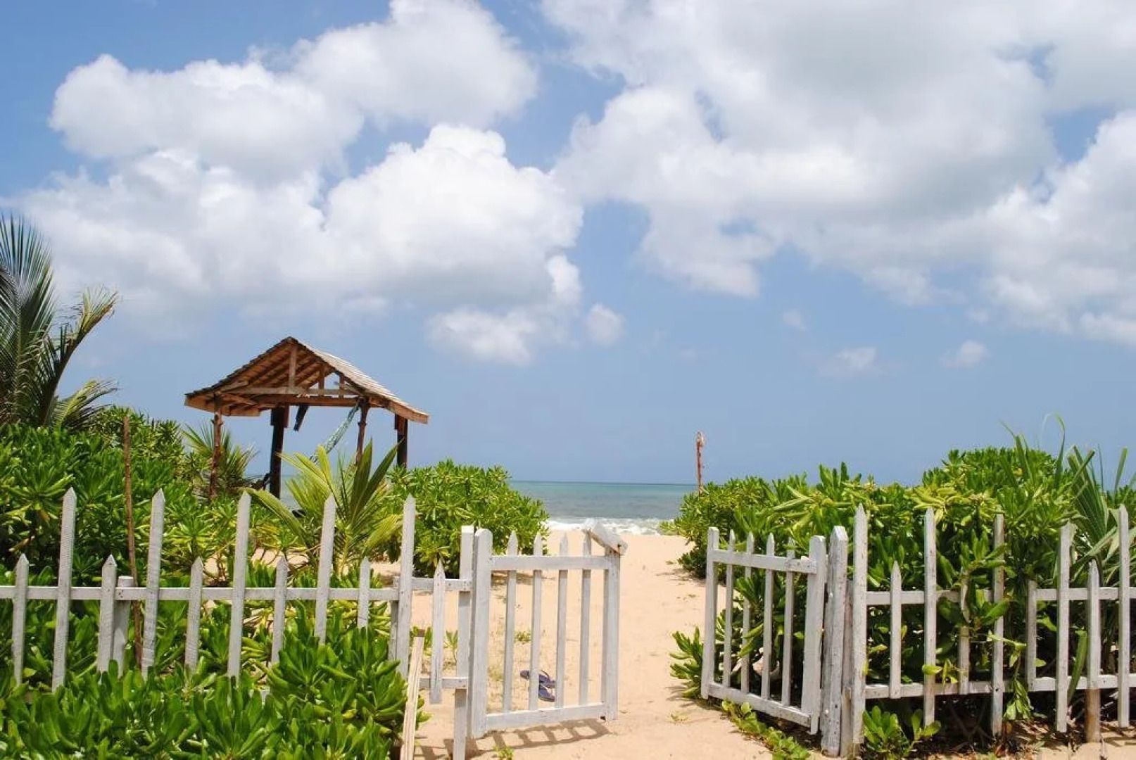 Peacock Land Tangalle Guest House