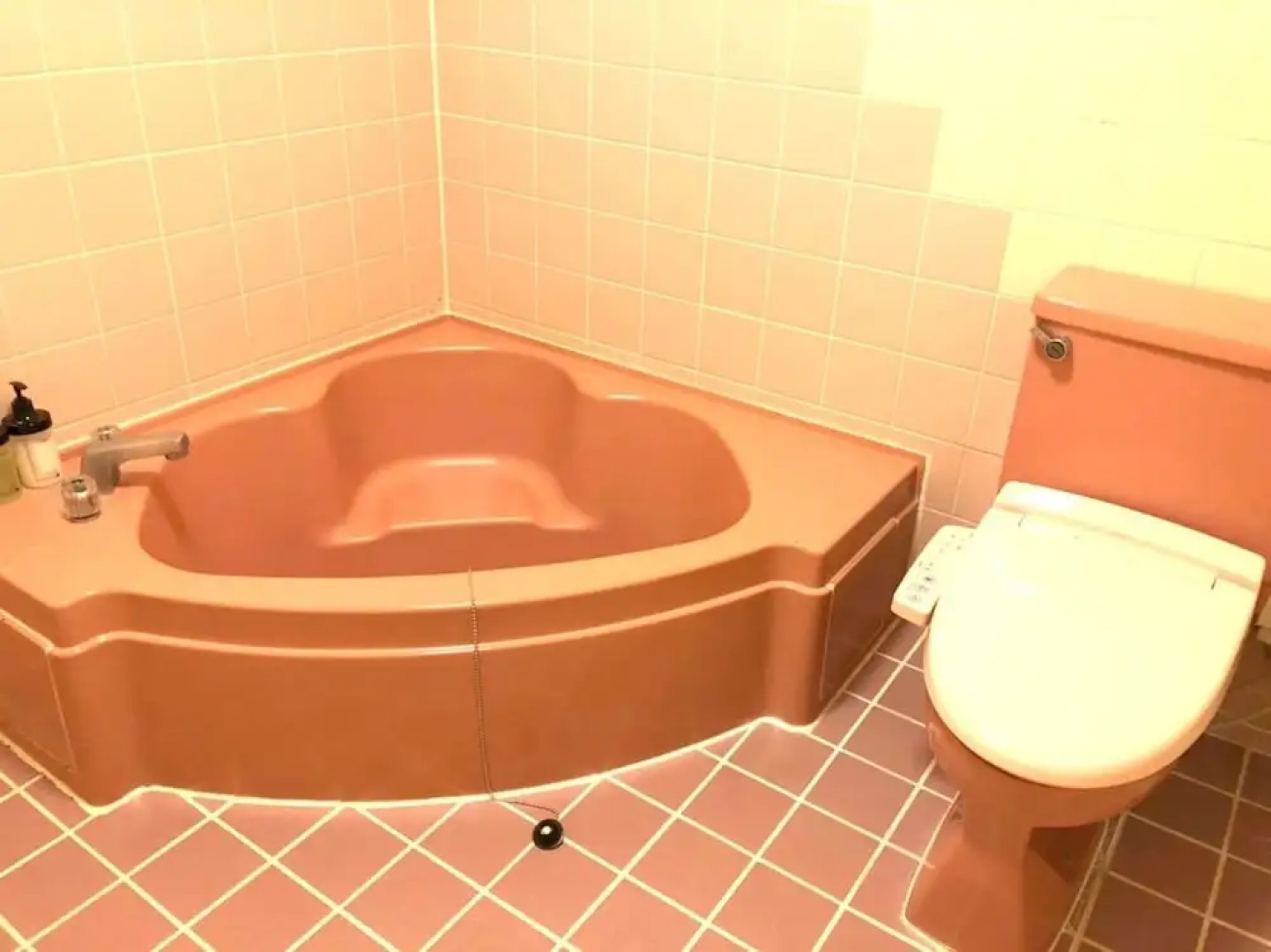 Hotel Robinson INN Ryukyu Tabikan MW1